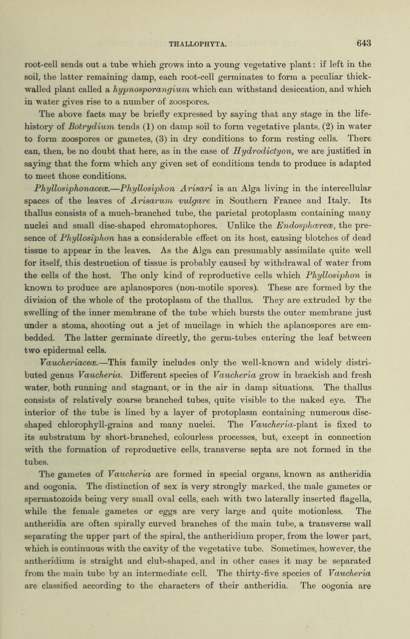 root-cell sends out a tube which grows into a young vegetative plant: if left in the soil, the latter remaining damp, each root-cell germinates to form a peculiar thick- walled plant called a hypnosporangium which can withstand desiccation, and which in water gives rise to a number of zoospores. The above facts may be briefly expressed by saying that any stage in the life- history of Botrydium tends (1) on damp soil to form vegetative plants, (2) in water to form zoospores or gametes, (3) in dry conditions to form resting cells. There can, then, be no doubt that here, as in the case of Hydrodictyon, we are justified in saying that the form which any given set of conditions tends to produce is adapted to meet those conditions. Phyllosiphonacece.—Phyllosiphon Arisari is an Alga living in the intercellular spaces of the leaves of Arisarum vulgare in Southern France and Italy. Its thallus consists of a much-branched tube, the parietal protoplasm containing many nuclei and small disc-shaped chromatophores. Unlike the Endosphcerece, the pre- sence of Phyllosiphon has a considerable effect on its host, causing blotches of dead tissue to appear in the leaves. As the Alga can presumably assimilate quite well for itself, this destruction of tissue is probably caused by withdrawal of water from the cells of the host. The only kind of reproductive cells which Phyllosiphon is known to produce are aplanospores (non-motile spores). These are formed by the division of the whole of the protoplasm of the thallus. They are extruded by the swelling of the inner membrane of the tube which bursts the outer membi’ane just under a stoma, shooting out a jet of mucilage in which the aplanospores are em- bedded. The latter germinate directly, the germ-tubes entering the leaf between two epidermal cells. Vaucheriacece.—This family includes only the well-known and widely distri- buted genus Vaucheria. Difierent species of Vaucheria grow in brackish and fresh water, both running and stagnant, or in the air in damp situations. The thallus consists of relatively coarse branched tubes, quite visible to the naked eye. The interior of the tube is lined by a layer of protoplasm containing numerous disc- shaped chlorophyll-grains and many nuclei. The Vaucheria-^l&nt is fixed to its substratum by short-branched, colourless processes, but, except in connection with the formation of reproductive cells, transverse septa are not formed in the tubes. The gametes of Vaucheria are formed in special organs, known as antheridia and oogonia. The distinction of sex is very strongly marked, the male gametes or spermatozoids being very small oval cells, each with two laterally inserted flagella, while the female gametes or eggs are very large and quite motionless. The antheridia are often spirally curved branches of the main tube, a transverse wall separating the upper part of the spiral, the antheridium proper, from the lower part, which is continuous with the cavity of the vegetative tube. Sometimes, however, the antheridium is straight and club-shaped, and in other cases it may be separated from the main tube by an intermediate cell. The thirty-five species of Vaucheria are classified according to the characters of their antheridia. The oogonia are