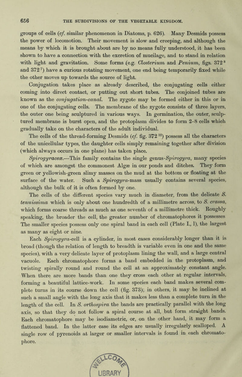 groups of cells (c/. similar phenomenon in Diatoms, p. 626). Many Desmids possess the power of locomotion. Their movement is slow and creeping, and although the means by which it is brought about are by no means fully understood, it has been shown to have a connection with the excretion of mucilage, and to stand in relation with light and gravitation. Some forms (e.g. Closterium and Penium, figs. 372 ® and 372 have a curious rotating movement, one end being temporarily fixed while the other moves up towards the source of light. Conjugation takes place as already described, the conjugating cells either coming into direct contact, or putting out short tubes. The conjoined tubes are known as the conjugation-canal. The zygote may be formed either in this or in one of the conjugating cells. The membrane of the zygote consists of three layers, the outer one being sculptured in various ways. In germination, the outer, sculp- tured membrane is burst open, and the protoplasm divides to form 2-8 cells which gradually take on the characters of the adult individual. The cells of the thread-forming Desmids (cf. fig. 372 possess all the characters of the unicellular types, the daughter cells simply remaining together after division (which always occurs in one plane) has taken place. Spirogyracece.—This family contains the single genns-Spirogyra, many species of which are amongst the commonest Algae in our ponds and ditches. They form green or yellowish-green slimy masses on the mud at the bottom or floating at the surface of the water. Such a Spirogyra-mass usually contains several species, although the bulk of it is often formed by one. The cells of the different species vary much in diameter, from the delicate S. tenuissima which is only about one hundredth of a millimetre across, to S. crassa, which forms coarse threads as much as one seventh of a millimetre thick. Roughly speaking, the broader the cell, the greater number of chromatophores it possesses The smaller species possess only one spiral band in each cell (Plate I., 1), the largest as many as eight or nine. Each Spirogyra-ceW is a cylinder, in most cases considerably longer than it is broad (though the relation of length to breadth is variable even in one and the same species), with a very delicate layer of protoplasm lining the wall, and a large central vacuole. Each chromatophore forms a band embedded in the protoplasm, and twisting spirally round and round the cell at an approximately constant angle. When there are more bands than one they cross each other at regular intervals, forming a beautiful lattice-work. In some species each band makes several com- plete turns in its course down the cell (fig. 373); in others, it may be inclined at such a small angle with the long axis that it makes less than a complete turn in the length of the cell. In S. orthospira the bands are practically parallel with the long axis, so that they do not follow a spiral course at all, but form straight bands. Each chromatophore may be isodiametric, or, on the other hand, it may form a flattened band. In the latter case its edges are usually irregularly scalloped. A single I’ow of pyrenoids at larger or smaller intervals is found in each chromato- phore.