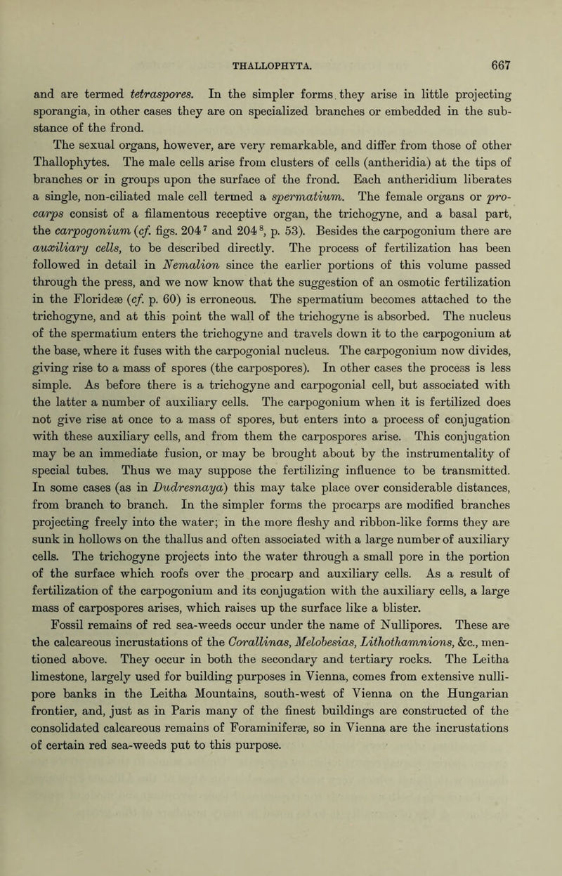 and are termed tetraspores. In the simpler forms they arise in little projecting sporangia, in other cases they are on specialized branches or embedded in the sub- stance of the frond. The sexual organs, however, are very remarkable, and differ from those of other Thallophytes. The male cells arise from clusters of cells (antheridia) at the tips of branches or in groups upon the surface of the frond. Each antheridium liberates a single, non-ciliated male cell termed a spermatium. The female organs or pro- caips consist of a filamentous receptive organ, the trichogyne, and a basal part, the carpogonium (cf. figs. 204 and 204 ®, p. 53). Besides the carpogonium there are auxiliary cells, to be described directly. The process of fertilization has been followed in detail in Nemalion since the earlier portions of this volume passed through the press, and we now know that the suggestion of an osmotic fertilization in the Florideae (cf. p. 60) is erroneous. The spermatium becomes attached to the trichogyne, and at this point the wall of the trichogyne is absorbed. The nucleus of the spermatium enters the trichogyne and travels down it to the carpogonium at the base, where it fuses with the carpogonial nucleus. The carpogonium now divides, giving rise to a mass of spores (the carpospores). In other cases the process is less simple. As before there is a trichogyne and carpogonial cell, but associated with the latter a number of auxiliary cells. The carpogonium when it is fertilized does not give rise at once to a mass of spores, but enters into a process of conjugation with these auxiliary cells, and from them the carpospores arise. This conjugation may be an immediate fusion, or may he brought about by the instrumentality of special tubes. Thus we may suppose the fertilizing infiuence to be transmitted. In some cases (as in Dudresnaya) this may take place over considerable distances, from branch to branch. In the simpler forms the procarps are modified branches projecting freely into the water; in the more fleshy and ribbon-like forms they are sunk in hollows on the thallus and often associated with a large number of auxiliary cells. The trichogyne projects into the water through a small pore in the portion of the surface which roofs over the procarp and auxiliary cells. As a result of fertilization of the carpogonium and its conjugation with the auxiliary cells, a large mass of carpospores arises, which raises up the surface like a blister. Fossil remains of red sea-weeds occur under the name of Nullipores. These are the calcareous incrustations of the Gorallinas, Melobesias, Lithothamnions, &c., men- tioned above. They occur in both the secondary and tertiary rocks. The Leitha limestone, largely used for building purposes in Vienna, comes from extensive nulli- pore banks in the Leitha Mountains, south-west of Vienna on the Hungarian frontier, and, just as in Paris many of the finest buildings are constructed of the consolidated calcareous remains of Foraminiferae, so in Vienna are the incrustations of certain red sea-weeds put to this purpose.