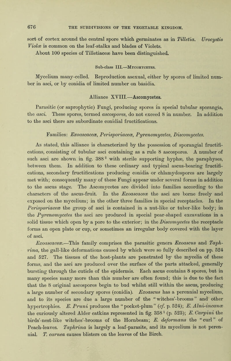 sort of cortex around the central spore which germinates as in Tilletia. Urocystis Violce is common on the leaf-stalks and blades of Violets. About 100 species of Tilletiaceae have been distinguished. Sub-class III.—Mtcomtcetes. Mycelium many-celled. Keproduction asexual, either by spores of limited num- ber in asci, or by conidia of limited number on basidia. Alliance XVIII.—Ascomycetes. Parasitic (or saprophytic) Fungi, producing spores in special tubular sporangia, the asci. These spores, termed ascospores, do not exceed 8 in number. In addition to the asci there are subordinate conidial fructifications. Families: Exoascacece, Perisporiacece, Pyrenomycetes, Discomycetes. As stated, this alliance is characterized by the possession of sporangial fructifi- cations, consisting of tubular asci containing as a rule 8 ascospores. A number of such asci are shown in fig. 388^ with sterile supporting hyphae, the paraphyses, between them. In addition to these ordinary and typical ascus-bearing fructifi- cations, secondary fructifications producing conidia or chlamydospores are largely met with; consequently many of these Fungi appear under several forms in addition to the ascus stage. The Ascomycetes are divided into families according to the characters of the ascus-fruit. In the Exoascacece the asci are borne freely and exposed on the mycelium; in the other three families in special receptacles. In the Perisporiacece the group of asci is contained in a nut-like or tuber-like body; in the Pyrenomycetes the asci are produced in special pear-shaped excavations in a solid tissue which open by a pore to the exterior; in th.Q Discomycetes the receptacle forms an open plate or cup, or sometimes an irregular body covered with the layer of asci. Exoascaceoe.—This family comprises the parasitic genera Exoascus and Taph- rina, the gall-like deformations caused by which were so fully described on pp. 524 and 527. The tissues of the host-plants are penetrated by the mycelia of these forms, and the asci are produced over the surface of the parts attacked, generally bursting through the cuticle of the epidermis. Each ascus contains 8 spores, but in many species many more than this number are often found; this is due to the fact that the 8 original ascospores begin to bud whilst still within the ascus, producing a large number of secondary spores (conidia). Exoascus has a perennial mycelium, and to its species are due a large number of the “ witches’-brooms ” and other hypertrophies. E. Pruni produces the “pocket-plum” (c/. p. 524); E. Alni-incancB the curiously altered Alder catkins represented in fig. 358 ^ (p. 523); E. Carpini the birds’-nest-like witches’-brooms of the Hornbeam; E. deformans the “curl” of Peach-leaves. Taphrina is largely a leaf-parasite, and its mycelium is not peren- nial. T. carnea causes blisters on the leaves of the Birch.