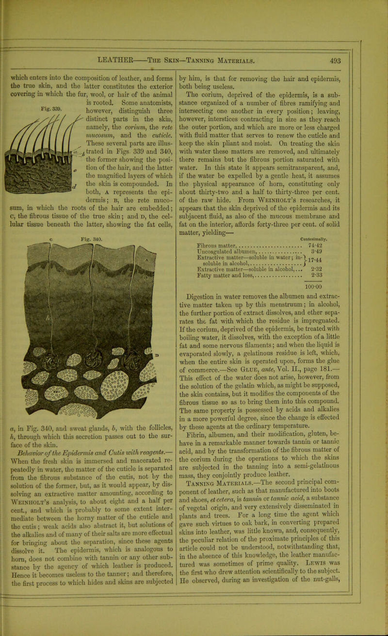 which enters into the composition of leather, and forms the true skin, and the latter constitutes the exterior covering in which the fur, wool, or hair of the animal is rooted. Some anatomists, however, distinguish three distinct parts in the skin, namely, the corium, the rete mucosum, and the cuticle. These several parts are illus- trated in Figs. 339 and 340, the former showing the posi- c tion of the hair, and the latter the magnified layers of which the skin is compounded. In both, A represents the epi- dermis; B, the rete muco- sum, in which the roots of the hair are embedded; c, the fibrous tissue of the true skin; and d, the cel- lular tissue beneath the latter, showing the fat cells, c Fig. 340. a, in Fig. 340, and sweat glands, b, with the follicles, h, through which this secretion passes out to the sur- face of the skin. Behavior of the Epidermis and Cutis with reagents.— When the fresh skin is immersed and macerated re- peatedly in water, the matter of the cuticle is separated from the fibrous substance of the cutis, not by the solution of the former, but, as it would appear, by dis- solving an extractive matter amounting, according to Weiniiolt’s analysis, to about eight and a half per cent., and which is probably to some extent inter- mediate between the horny matter of the cuticle and the cutis ; weak acids also abstract it, but solutions of the alkalies and of many of their salts are more effectual for bringing about the separation, since these agents dissolve it. The epidermis, which is analogous to horn, does not combine with tannin or any other sub- stance by the agency of which leather is produced. Hence it becomes useless to the tanner; and therefore, the first process to which hides and skins are subjected by him, is that for removing the hair and epidermis, both being useless. The corium, deprived of the epidermis, is a sub- stance organized of a number of fibres ramifying and intersecting one another in every position; leaving, however, interstices contracting in size as they reach the outer portion, and which are more or less charged with fluid matter that serves to renew the cuticle and keep the skin pliant and moist. On treating the skin with water these matters are removed, and ultimately there remains but the fibrous portion saturated with water. In this state it appears semitransparent, and, if the water be expelled by a gentle heat, it assumes the physical appearance of horn, constituting only about thirty-two and a half to thirty-three per cent, of the raw hide. From Weinholt’s researches, it appears that the skin deprived of the epidermis and its subjacent fluid, as also of the mucous membrane and fat on the interior, affords forty-three per cent, of solid matter, yielding— Centesimally. Fibrous matter, 7-1-42 Uncoagulated albumen, 3-49 Extractive matter—soluble in water; in'I 27.44. soluble in alcohol, j Extractive matter—soluble in alcohol,... 2-32 Fatty matter and loss, 2-33 100-00 Digestion in water removes the albumen and extrac- tive matter taken up by this menstruum; in alcohol, the further portion of extract dissolves, and ether sepa- rates the fat with which the residue is impregnated. If the corium, deprived of the epidermis, be treated wit h boiling water, it dissolves, with the exception of a little fat and some nervous filaments; and when the liquid is evaporated slowly, a gelatinous residue is left, which, when the entire skin is operated upon, forms the glue of commerce.—See Glue, ante, Vol. II., page 181.— This effect of the water does not arise, however, from the solution of the gelatin which, as might be supposed, the skin contains, but it modifies the components of the fibrous tissue so as to bring them into this compound. The same property is possessed by acids and alkalies in a more powerful degree, since the change is effected by these agents at the ordinary temperature. Fibrin, albumen, and their modification, gluten, be- have in a remarkable manner towards tannin or tannic acid, and by the transformation of the fibrous matter of the corium during the operations to which the skins are subjected in the tanning into a semi-gelatinous mass, they conjointly produce leather. Tanning Materials.—The second principal com- ponent of leather, such as that manufactured into boots and shoes, et cetera, is tannin or tannic acid, a substance of vegetal origin, and very extensively disseminated in plants and trees. For a long time the agent which gave such virtues to oak bark, in converting prepared skins into leather, was little known, and, consequently, the peculiar relation of the proximate principles of this article could not be understood, notwithstanding that, in the absence of this knowledge, the leather manufac- tured was sometimes of prime quality. Lewis was the first who drew attention scientifically to the subject. He observed, during an investigation of the nut-galls,
