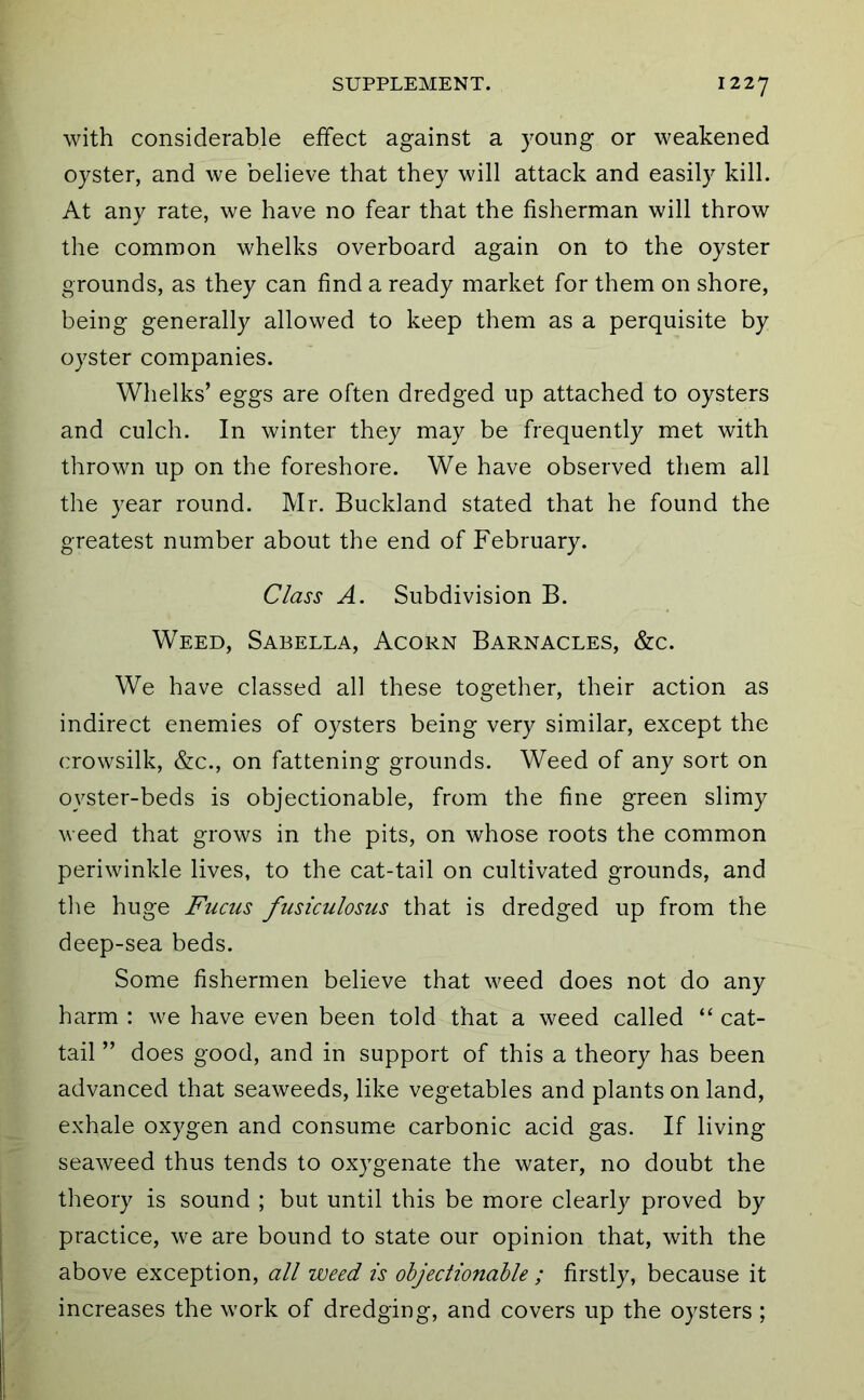 with considerable effect against a young or weakened oyster, and we believe that they will attack and easily kill. At any rate, we have no fear that the fisherman will throw the common whelks overboard again on to the oyster grounds, as they can find a ready market for them on shore, being generally allowed to keep them as a perquisite by oyster companies. Whelks’ eggs are often dredged up attached to oysters and culch. In winter they may be frequently met with thrown up on the foreshore. We have observed them all the year round. Mr. Buckland stated that he found the greatest number about the end of February. Class A. Subdivision B. Weed, Sabella, Acorn Barnacles, &c. We have classed all these together, their action as indirect enemies of oysters being very similar, except the crowsilk, &c., on fattening grounds. Weed of any sort on oyster-beds is objectionable, from the fine green slimy weed that grows in the pits, on whose roots the common periwinkle lives, to the cat-tail on cultivated grounds, and tlie huge Fucus fusiculosus that is dredged up from the deep-sea beds. Some fishermen believe that weed does not do any harm ; we have even been told that a weed called “ cat- tail ” does good, and in support of this a theory has been advanced that seaweeds, like vegetables and plants on land, exhale oxygen and consume carbonic acid gas. If living seaweed thus tends to oxygenate the water, no doubt the theory is sound ; but until this be more clearly proved by practice, we are bound to state our opinion that, with the above exception, all weed is ohjectionahle ; firstly, because it increases the work of dredging, and covers up the oysters;