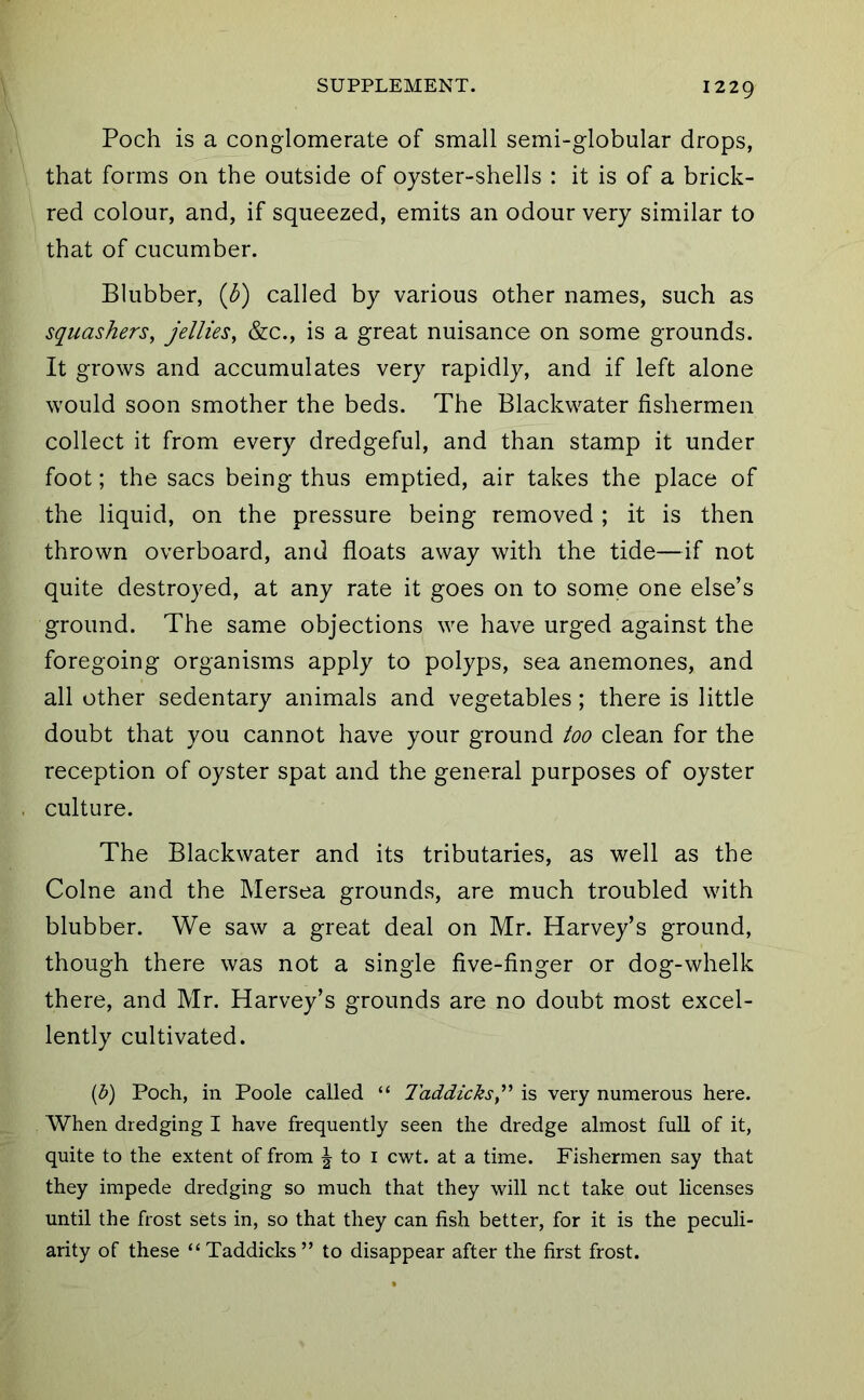 Poch is a conglomerate of small semi-globular drops, that forms on the outside of oyster-shells : it is of a brick- red colour, and, if squeezed, emits an odour very similar to that of cucumber. Blubber, (b) called by various other names, such as squashers, jellies, &c., is a great nuisance on some grounds. It grows and accumulates very rapidly, and if left alone would soon smother the beds. The Blackwater fishermen collect it from every dredgeful, and than stamp it under foot; the sacs being thus emptied, air takes the place of the liquid, on the pressure being removed ; it is then thrown overboard, and floats away with the tide—if not quite destroyed, at any rate it goes on to some one else’s ground. The same objections we have urged against the foregoing organisms apply to polyps, sea anemones, and all other sedentary animals and vegetables; there is little doubt that you cannot have your ground too clean for the reception of oyster spat and the general purposes of oyster culture. The Blackwater and its tributaries, as well as the Colne and the Mersea grounds, are much troubled with blubber. We saw a great deal on Mr. Harvey’s ground, though there was not a single five-finger or dog-whelk there, and Mr. Harvey’s grounds are no doubt most excel- lently cultivated. [b) Poch, in Poole called “ Taddicks,^' is very numerous here. When dredging I have frequently seen the dredge almost full of it, quite to the extent of from ^ to i cwt. at a time. Fishermen say that they impede dredging so much that they will net take out licenses until the frost sets in, so that they can fish better, for it is the peculi- arity of these “ Taddicks ” to disappear after the first frost.