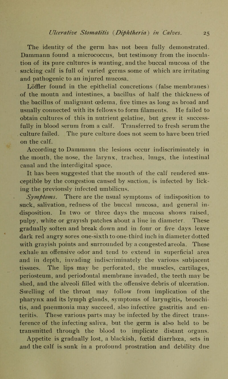 The identity of the germ has not been fully demonstrated. Datnmann found a micrococcus, but testimony from the inocula- tion of its pure cultures is wanting, and the buccal mucosa of the sucking calf is full of varied germs some of which are irritating and pathogenic to an injured mucosa. Loffler found in the epithelial concretions (false membranes) of the moutU and intestines, a bacillus of half the thickness of the bacillus of malignant oedema, five times as long as broad and usually connected with its fellows to form filaments. He failed to obtain cultures of this in nutrient gelatine, but grew it success- fully in blood serum from a calf. Transferred to fresh serum the culture failed. The pure culture does not seem to have been tried on the calf. According to Daininann the lesions occur indiscriminately in the mouth, the nose, the larynx, trachea, lungs, the intestinal canal and the interdigital space. It has been suggested that the mouth of the calf rendered sus- ceptible by the congestion caused by suction, is infected by lick- ing the previously infected umbilicus. Symptoms. There are the usual symptoms of indisposition to suck, salivation, redness of the buccal mucosa, and general in- disposition. I11 two or three days the mucosa shows raised, pulpy, white or grayish patches about a line in diameter. These gradually soften and break down and in four or five days leave dark red angry sores one-sixth to one-third inch in diameter dotted with grayish points and surrounded by a congested areola. These exhale an offensive odor and tend to extend in superficial area and in depth, invading indiscriminately the various subjacent tissues. The lips may be perforated, the muscles, cartilages, periosteum, and periodontal membrane invaded, the teeth may be shed, and the alveoli filled with the offensive debris of ulceration. Swelling of the throat may follow from implication of the pharynx and its lymph glands, symptoms of laryngitis, bronchi- tis, and pneumonia may succeed, also infective gastritis and en- teritis. These various parts may be infected by the direct trans- ference of the infecting saliva, but the germ is also held to be transmitted through the blood to implicate distant organs. Appetite is gradually lost, a blackish, foetid diarrhoea, sets in and the calf is sunk in a profound prostration and debility due