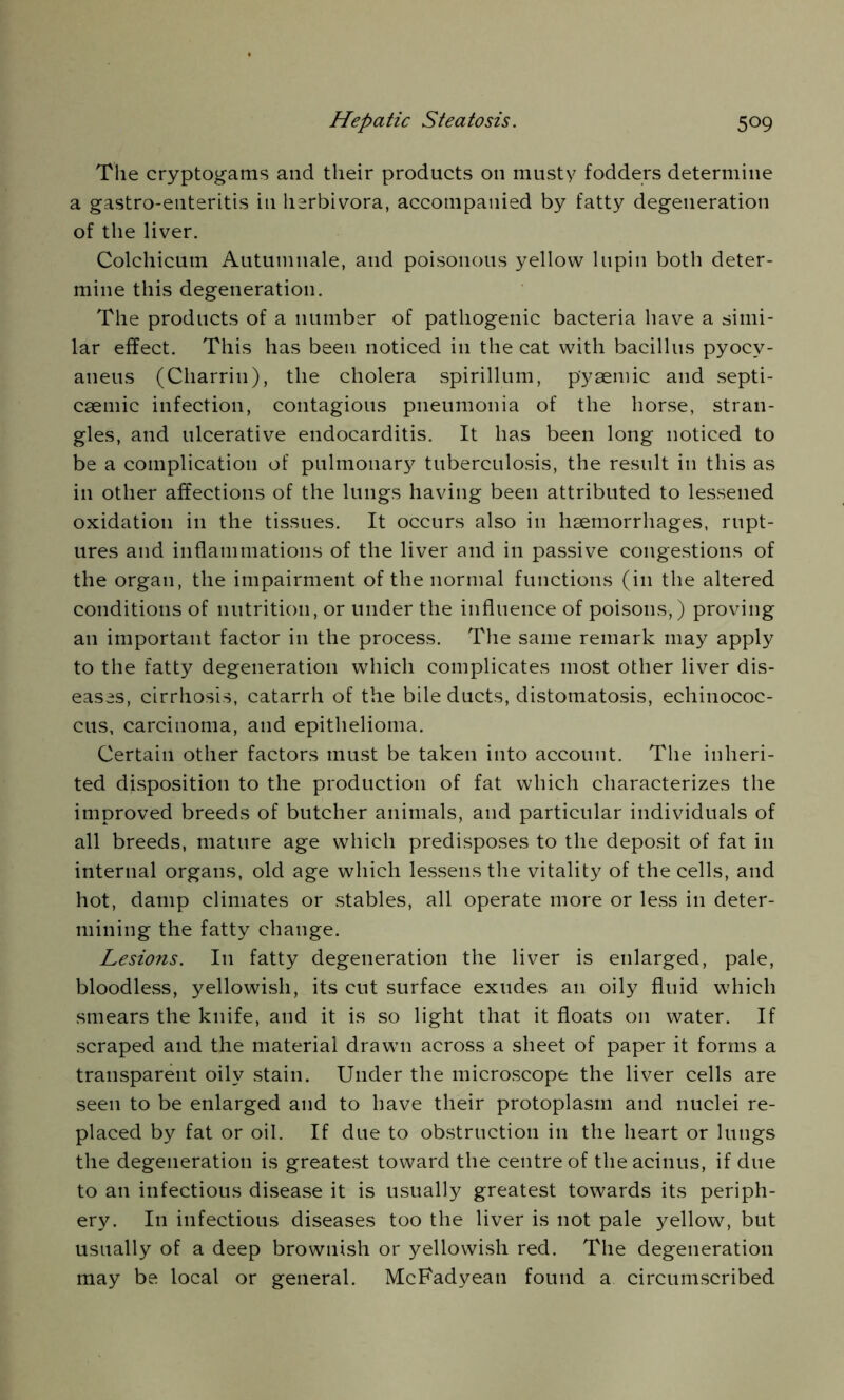 The cryptogams and their products on musty fodders determine a gastro-enteritis in herbivora, accompanied by fatty degeneration of the liver. Colchicutn Autumnale, and poisonous yellow lupin both deter- mine this degeneration. The products of a number of pathogenic bacteria have a simi- lar effect. This has been noticed in the cat with bacillus pyocv- aueus (Charrin), the cholera spirillum, p'ysemic and septi- csemic infection, contagious pneumonia of the horse, stran- gles, and ulcerative endocarditis. It has been long noticed to be a complication of pulmonary tuberculosis, the result in this as in other affections of the lungs having been attributed to lessened oxidation in the tissues. It occurs also in haemorrhages, rupt- ures and inflammations of the liver and in passive congestions of the organ, the impairment of the normal functions (in the altered conditions of nutrition, or under the influence of poisons,) proving an important factor in the process. The same remark may apply to the fatty degeneration which complicates most other liver dis- eases, cirrhosis, catarrh of the bile ducts, distomatosis, echinococ- cus, carcinoma, and epithelioma. Certain other factors must be taken into account. The inheri- ted disposition to the production of fat which characterizes the improved breeds of butcher animals, and particular individuals of all breeds, mature age which predisposes to the deposit of fat in internal organs, old age which lessens the vitality of the cells, and hot, damp climates or stables, all operate more or less in deter- mining the fatty change. Lesions. In fatty degeneration the liver is enlarged, pale, bloodless, yellowish, its cut surface exudes an oily fluid which smears the knife, and it is so light that it floats on water. If scraped and the material drawn across a sheet of paper it forms a transparent oily stain. Under the microscope the liver cells are seen to be enlarged and to have their protoplasm and nuclei re- placed by fat or oil. If due to obstruction in the heart or lungs the degeneration is greatest toward the centre of the acinus, if due to an infectious disease it is usually greatest towards its periph- ery. In infectious diseases too the liver is not pale yellow, but usually of a deep brownish or yellowish red. The degeneration may be local or general. McFadyean found a circumscribed