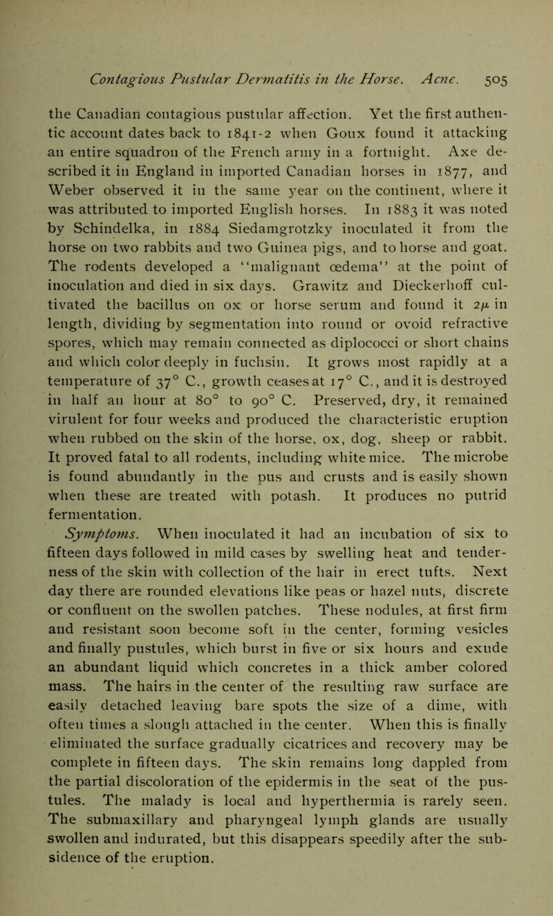 the Canadian contagious pustular affection. Yet the first authen- tic account dates back to 1841-2 when Goux found it attacking an entire squadron of the French army in a fortnight. Axe de- scribed it in England in imported Canadian horses in 1877, and Weber observed it in the same year 011 the continent, where it was attributed to imported English horses. I11 1883 it was noted by Schindelka, in 1884 Siedamgrotzky inoculated it from the horse on two rabbits and two Guinea pigs, and to horse and goat. The rodents developed a “malignant oedema” at the point of inoculation and died in six days. Grawitz and Dieckerhoff cul- tivated the bacillus on ox or horse serum and found it 2/x in length, dividing by segmentation into round or ovoid refractive spores, which may remain connected as diplococci or short chains and which color deeply in fuchsin. It grows most rapidly at a temperature of 370 C., growth ceases at 170 C., and it is destroyed in half an hour at 8o° to 90° C. Preserved, dry, it remained virulent for four weeks and produced the characteristic eruption when rubbed on the skin of the horse, ox, dog. sheep or rabbit. It proved fatal to all rodents, including white mice. The microbe is found abundantly in the pus and crusts and is easily shown when these are treated with potash. It produces no putrid fermentation. Symptoms. When inoculated it had an incubation of six to fifteen days followed in mild cases by swelling heat and tender- ness of the skin with collection of the hair in erect tufts. Next day there are rounded elevations like peas or hazel nuts, discrete or confluent on the swollen patches. These nodules, at first firm and resistant soon become soft in the center, forming vesicles and finally^ pustules, which burst in five or six hours and exude an abundant liquid which concretes in a thick amber colored mass. The hairs in the center of the resulting raw surface are easily detached leaving bare spots the size of a dime, with often times a slough attached in the center. When this is finally eliminated the surface gradually cicatrices and recovery may be complete in fifteen days. The skin remains long dappled from the partial discoloration of the epidermis in the seat of the pus- tules. The malady is local and hyperthermia is rarely seen. The submaxillary and pharyngeal lymph glands are usually swollen and indurated, but this disappears speedily after the sub- sidence of the eruption.