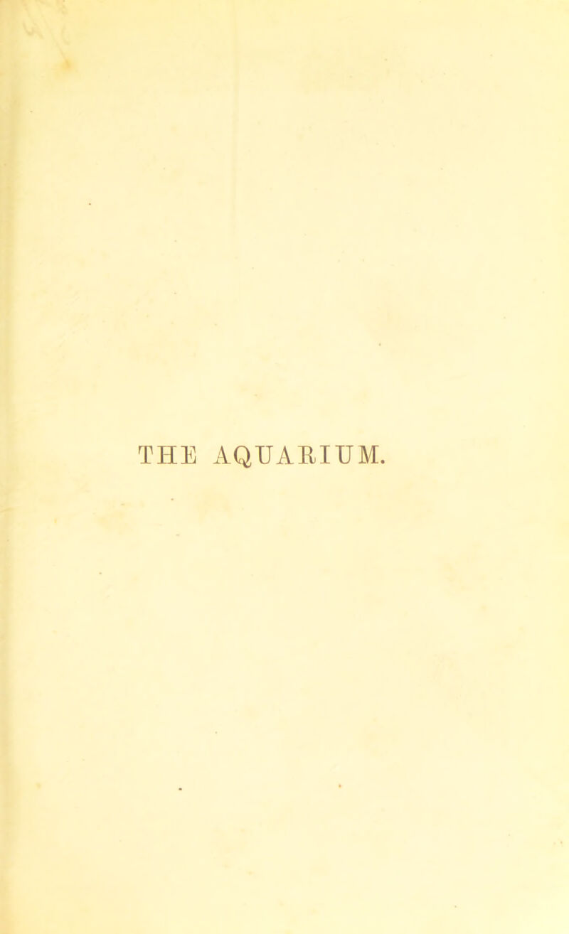 THE AQUAEIUM.