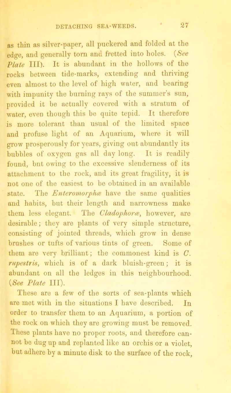 as thin as silver-paper, all puckered and folded at the edge, and generally torn and fretted into holes. {See Plate III). It is abundant in the hollows of the rocks between tide-marks, extending and thriving even almost to the level of high water, and bearing with impunity the burning rays of the summer’s sun, provided it be actually covered with a stratum of water, even though this be quite tepid. It therefore is more tolerant than usual of the limited space and profuse light of an Aquarium, where it will grow prosperously for ymars, giving out abundantly its bubbles of oxygen gas all day long. It is readily found, bnt owing to the excessive slenderness of its attachment to the rock, and its great fragility, it is not one of the easiest to be obtained in an available state. The Enteromorplue have the same qualities and habits, but their length and narrowness make them less elegant. The Cladophora, however, are desirable; they are plants of very simple structure, consisting of jointed threads, which grow in dense brushes or tufts of various tints of green. Some of them are very brilliant; the commonest kind is C. rupestris, which is of a dark bluish-green; it is abundant on all the ledges in this neighbourhood. {See Plate III). These are a few of the sorts of sea-plants which are met with in the situations I have described. In order to transfer them to an Aquarium, a portion of the rock on which they are growing must be removed. These plants have no proper roots, and therefore can- not be dug up and replanted like an orchis or a violet, but adhere by a minute disk to the surface of the rock,