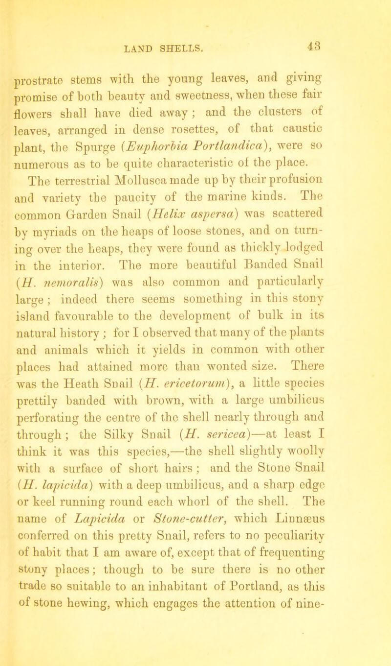 LAND SHELLS. prostrate stems with the young leaves, and giving promise of both beauty and sweetness, when these fair flowers shall have died away; and the clusters of leaves, arranged in dense rosettes, of that caustic plant, the Spurge {Euphorbia Portlandica), were so numerous as to be quite characteristic of the place. The terrestrial Molluscamade up by their profusion and variety the paucity of the marine kinds. The common Garden Snail {Helix aspersa) was scattered by myriads on the heaps of loose stones, and on turn- ing over the heaps, they were found as thickly lodged in the interior. The more beautiful Banded Snail [H. nemoralis) was also common and particularly large ; indeed there seems something in this stony island favourable to the development of hulk in its natural history ; for I observed that many of the plants and animals which it yields in common with other places had attained more than wonted size. There was the Heath Snail {H. ericetorum), a little species prettily banded with brown, with a large umbilicus perforating the centre of the shell nearly through and through; the Silky Snail {H. sericea)—at least I think it was this species,—the shell slightly woolly with a surface of short hairs; and the Stone Snail {H. lapicida) with a deep umbilicus, and a sharp edge or keel running round each whorl of the shell. The name of Lapicida or Stone-cutter, which Linnaeus conferred on this pretty Snail, refers to no peculiarity of habit that I am aware of, except that of frequenting stony places; though to he sure there is no other trade so suitable to an inhabitant of Portland, as this of stone hewing, which engages the attention of nine-