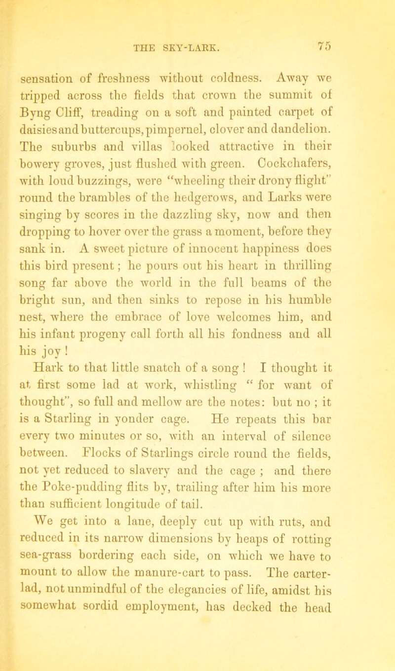 THE SKY-LARK. sensation of freshness without coldness. Away we trij)ped across the fields that crown the summit of Byng Cliff, treading on a soft and painted carpet of daisies and buttercups, pimpernel, clover and dandelion. The suburbs and villas looked attractive in their bowery groves, just flushed with green. Cockchafers, with loud buzzings, were “wheeling their drony flight” round the brambles of the hedgerows, and Larks were singing by scores in the dazzling sky, now and then dropping to hover over the grass a moment, before they sank in. A sweet picture of innocent happiness does this bird present; he pours out his heart in thrilling song far above the world in the full beams of the bright sun, and then sinks to repose in his humble nest, where the embrace of love welcomes him, and his infant progeny call forth all his fondness and all his joy ! Hark to that little snatch of a song ! I thought it at first some lad at Avork, whistling “ for want of thought”, so full and mellow are the notes: but no ; it is a Starling in yonder cage. He repeats this bar every two minutes or so, Avith an interval of silence between. Flocks of Starlings circle round the fields, not yet reduced to slavery and the cage ; and there the Poke-pudding Hits by, trailing after him his more than sufficient longitude of tail. We get into a lane, deeply cut up with ruts, and reduced in its narroAv dimensions by heaps of rotting sea-grass bordering each side, on which we have to mount to allow the manure-cart to pass. The carter- lad, not unmindful of the elegancies of life, amidst his somewhat sordid employment, has decked the head