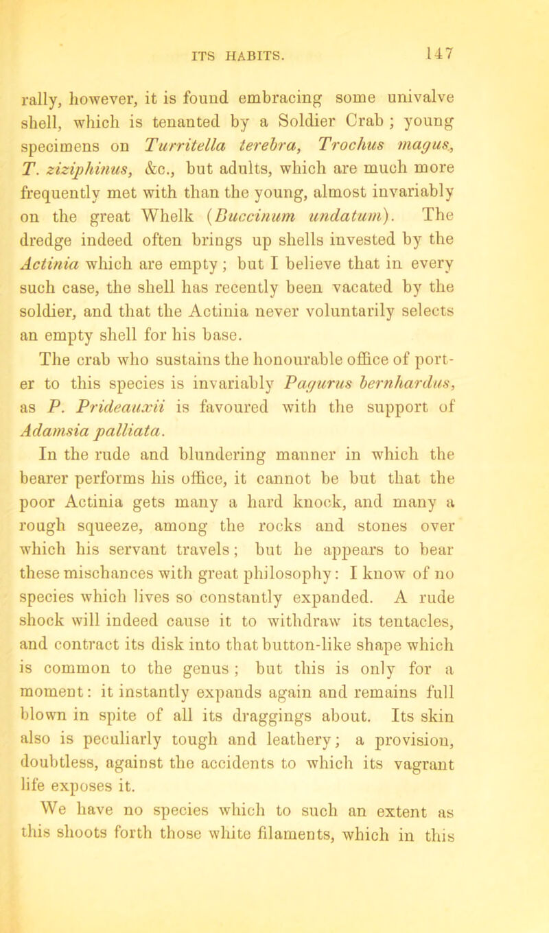 ITS HABITS. U7 rally, liowever, it is found embracing some univalve shell, which is tenanted by a Soldier Crab ; young specimens on Turritella terehra, Trochus magus., T. ziziphmus, &c., but adults, which are much more frequently met with than the young, almost invariably on the great Whelk {Buccinum undatum). The dredge indeed often brings up shells invested hy the Actinia which are empty ; but I believe that in every such case, the shell has recently been vacated by the soldier, and that the Actinia never voluntarily selects an empty shell for his base. The crah who sustains the honourable office of port- er to this species is invariably Pagurus bernhardus, as P. Prideauxii is favoured with the support of Adamsia palliata. In the rude and blundering manner in which the bearer performs his office, it cannot be but that the poor Actinia gets many a hard knock, and many a rough squeeze, among the rocks and stones over which his servant travels; but he appears to bear these mischances with great philosophy: I know of no species which lives so constantly expanded. A rude shock will indeed cause it to withdraw its tentacles, and contract its disk into that button-like shape which is common to the genus ; but this is only for a moment: it instantly expands again and remains full blown in spite of all its draggings about. Its skin also is peculiarly tough and leathery; a provision, doubtless, against the accidents to which its vagrant life exposes it. We have no species which to such an extent as this shoots forth those white filaments, which in this