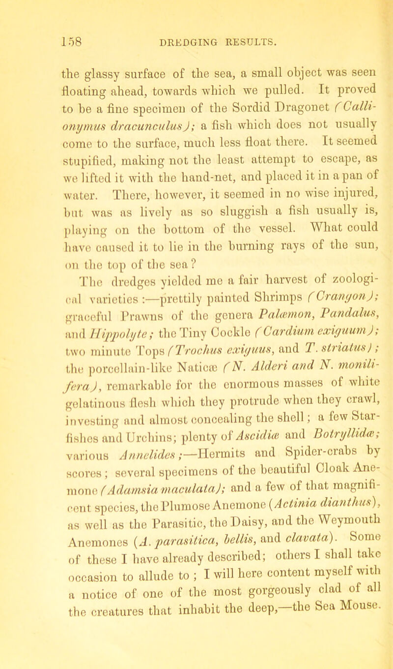 the glassy surface of the sea, a small object was seen floating ahead, towards which we pulled. It proved to be a fine specimen of the Sordid Dragonet (Calli- omjmus dracunculusJ; a fish which does not usually come to the surface, much less float there. It seemed stupified, making not the least attempt to escape, as we lifted it with the hand-net, and placed it in a pan of water. There, however, it seemed in no wise injured, hut was as lively as so sluggish a fish usually is, playing on the bottom of the vessel. What could have caused it to lie in the hm’ning rays of the sun, on the top of the sea? The dredges yielded me a fair harvest of zoologi- cal varieties prettily painted Shrimps (Cranyon); gi’aceful Prawns of the genera Palwnion, Pcindalus, and llippolyte; the Tiny Cockle (Cardium exiguum); two minute (Trochas exiyuus, and T. strialus) ; the porcollain-like Naticte (N. Alderi and N. monili- foraj, remarkable for the enormous masses of white gelatinous flesh which they protrude when they crawl, investing and almost concealing the shell; a few Star- fishes and Urchins; plenty of and Botryllidx; various Annclideft;—Hermits and Spider-crabs by scores; several specimens of the beautiful Cloak Ane- mone (Adamsia maculata); and a few of that magnifi- cent species, the Plumose Anemone (^Actinia dianthus), as well as the Parasitic, the Daisy, and the Weymouth Anemones {A. parasitica, hellis, and clavata). Some of these I have already described; others I shall take occasion to allude to ; I will here content myself with a notice of one of the most gorgeously clad of all the creatures that inhabit the deep, the Sea Mouse.
