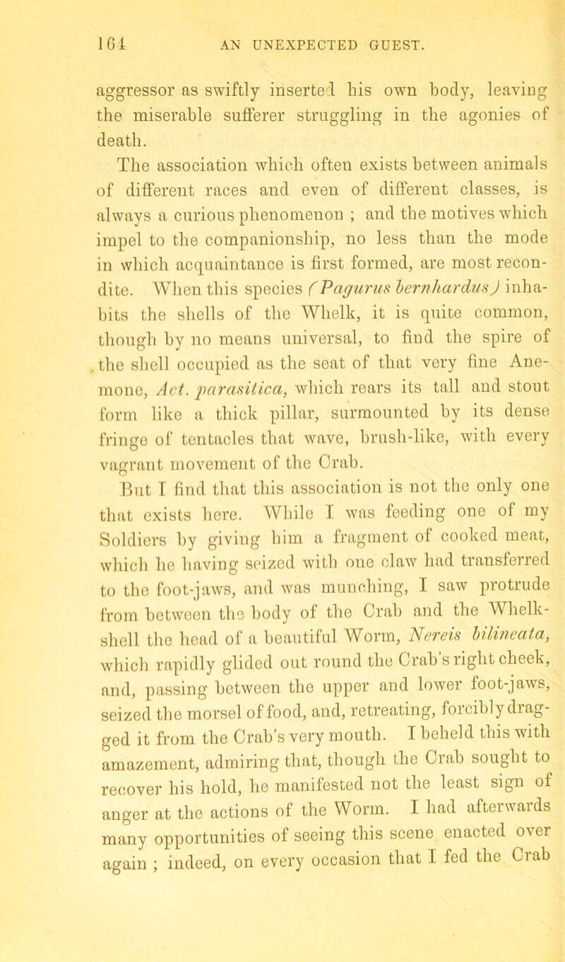 16i AN UNEXPECTED GUEST. aggressor as swiftly inserte;! his own body, leaving the miserable sufferer struggling in the agonies of death. The association which often exists between animals of different races and even of different classes, is always a curious phenomenon ; and the motives which impel to the companionship, no less than the mode in which ac<piaintance is first formed, are most recon- dite. When this species (Pagurus hernhardiisj inha- bits the shells of the Whelk, it is quite common, though by no means universal, to find the spire of the shell occupied as the seat of that very fine Ane- mone, Act. •parasitica, which rears its tall and stout form like a thick pillar, surmounted by its dense fringe of tentacles that wave, hrush-like, with every vagrant movement of the Crab. But T find that this association is not the only one that exists here. While I was feeding one of my Soldiers by giving him a fragment of cooked meat, which he having seized with one claw had transferred to the foot-jaws, and was munching, I saw protrude from between the body of the Crab and the Whelk- shell the head of a beautiful Worm, Nereis Ulineata, which rapidly glided out round the Crab s right cheek, and, passing between the upper and lower foot-jaws, seized the morsel of food, and, I'etreating, forcibly diag- ged it from the Crab’s very mouth. I beheld this with amazement, admiring that, though the Ciah sought to recover his hold, he manifested not the least sign of anger at the actions of the Worm. I had afterwaids many opportunities of seeing this scene enacted over again ; indeed, on every occasion that I fed the Crab