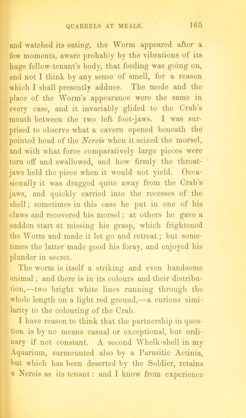 QUARRELS AT MEALS. and watched its eating, the Worm appeared after a few moments, aware probably by the vibrations of its huge fellow-tenant’s body, that feeding was going on, and not I think by any sense of smell, for a reason which I shall presently adduce. The mode and the 2^1 ace of the Worm’s appearance were the same in evei’y case, and it invariably glided to the Crab’s mouth between the two left foot-jaws. I was sur- prised to observe wbat a cavern oj)ened beneath the pointed head of the Nereis when it seized the morsel, and with what force comparatively large pieces were torn off and swallowed, and how firmly the throat- jaws held the piece when it would not yield. Occa- sionally it was dragged quite away from the Crab’s jaws, and quickly carried into the recesses of the shell; sometimes in this case he put in one of his I claws and recovered his morsel; at others he gave a sudden start at missing his grasp, which frightened the Worm and made it let go and retreat; but some- times tbe latter made good his foray, and enjoyed his plunder in secret. The worm is itself a striking and even handsome animal; and there is in its colours and their distribu- tion,—two bright white lines running through the whole length on a light red ground,—a curious simi- larity to the colouring of the Crab. I have reason to think that the partnership in ques- tion is by no means casual or exceptional, but ordi- nary if not constant. A second Whelk-shell in my Aquarium, surmounted also by a Parasitic Actinia, but which has been deserted by the Soldier, retains a Nereis as its tenant: and I know from experience