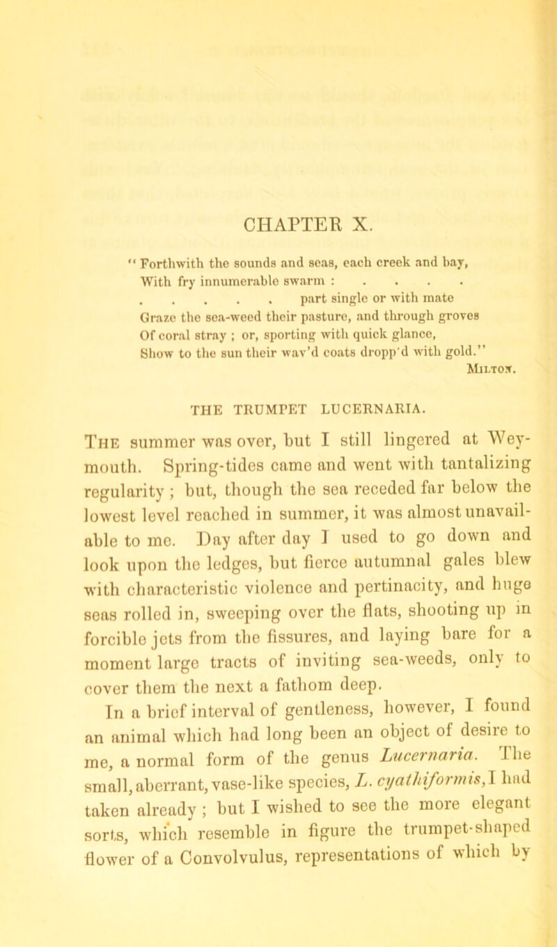 CHAPTEE X. “ Forthwith the sounds and seas, each creek and hay, With fry innumerable swarm : . . . . part single or with mate Graze the sea-weed their pasture, and thi-ough groves Of coral stray ; or, sporting with quick glance. Show to the sun their wav’d coats dropp'd with gold.” Mjlto.t. THE TRUMFET LUCERNARIA. The summer was over, but I still lingered at Wey- mouth. Spring-tides came and went with tantalizing regularity ; but, though the sea receded far below the lowest level reached in summer, it was almost unavail- able to me. ])ay after day T used to go down and look upon the ledges, but fierce autumnal gales blew w'ith characteristic violence and pertinacity, and hugs seas rolled in, sweeping over the flats, shooting up in forcible jets from the fissures, and laying hare for a moment large tracts of inviting sea-weeds, onl) to cover them the next a fathom deep. Tn a brief interval of gentleness, however, I found an animal which had long been an object of desiie to me, a normal form of the genus Lucernaria. The small, aberrant, vase-like species, L. cyathiformis,J had taken already ; but I wished to see the moie elegant sorts, which resemble in figure the trumpet-shaped flower of a Convolvulus, representations of which by