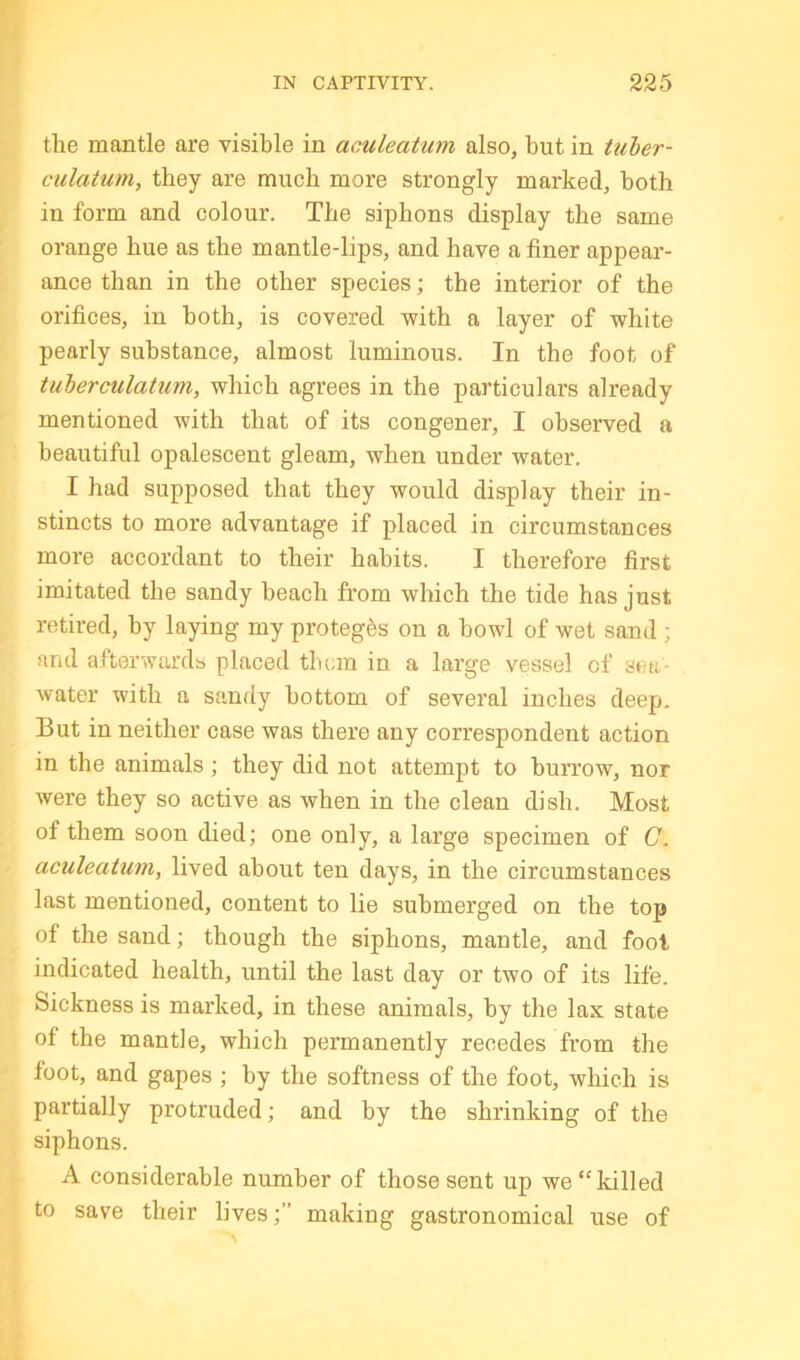 the mantle are visible in aculeatum also, but in tuher- ciilatum, they are much more strongly marked, both in form and colour. The siphons display the same orange hue as the mantle-lips, and have a finer appear- ance than in the other species; the interior of the orifices, in both, is covered with a layer of white pearly substance, almost luminous. In the foot of tuberculatum, which agrees in the particulars already mentioned with that of its congener, I observed a beautiful opalescent gleam, when under water. I had supposed that they would display their in- stincts to more advantage if placed in circumstances more accordant to their habits. I therefore first imitated the sandy beach from which the tide has just retired, by laying my proteges on a bowl of wet sand ; and afterwards placed them in a large vessel of sea- water with a sandy bottom of several inches deep. But in neither case was there any correspondent action in the animals; they did not attempt to burrow, nor were they so active as when in the clean dish. Most of them soon died; one only, a large specimen of C. aculeatum, lived about ten days, in the circumstances last mentioned, content to lie submerged on the top of the sand; though the siphons, mantle, and fool indicated health, until the last day or two of its life. Sickness is marked, in these animals, by the lax state of the mantle, which permanently recedes from the foot, and gapes ; by the softness of the foot, which is partially protruded; and by the shrinking of the siphons. A considerable number of those sent up we “killed to save their lives;” making gastronomical use of