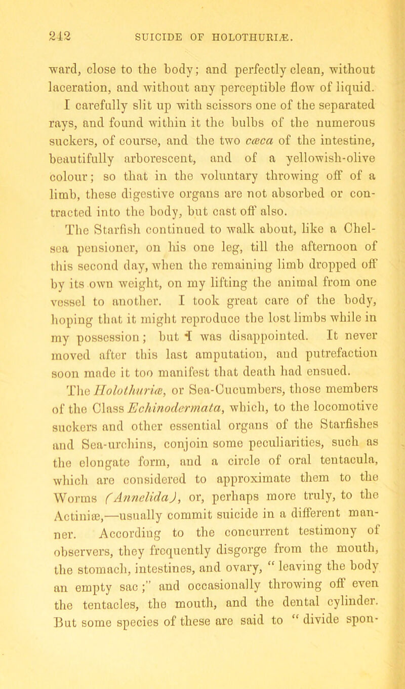 ■ward, close to the body; and perfectly clean, without laceration, and without any perceptible flow of liquid. I carefully slit up with scissors one of the separated rays, and found within it the bulbs of the numerous suckers, of course, and the two cmca of the intestine, beautifully arborescent, and of a yellowish-olive colour; so that in the voluntary throwing off of a limb, these digestive organs are not absorbed or con- tracted into the body, but cast off also. The Starfish continued to Avalk about, like a Chel- sea pensioner, on his one leg, till the afternoon of this second day, Avhen the remaining limb dropped off by its own weight, on my lifting the animal from one vessel to anotlier. I took great care of the body, hoping that it might reproduce the lost limbs while in my possession ; but was disappointed. It never moved after this last amputation, and putrefaction soon made it too manifest that death had ensued. T\\q Rolothnrm, or Sea-Cucumbers, those members of the 0\n,^s Echinodermata, which, to the locomotive suckers and other essential organs of the Starfishes and Sea-urchins, conjoin some peculiarities, such as the elongate form, and a circle of oral tentacula, which are considered to approximate them to the Worms fA^inelidaJ, or, perhaps more truly, to the Actinise,—usually commit suicide in a different man- ner. According to the concurrent testimony of observers, they frequently disgorge from the mouth, the stomach, intestines, and ovary, “ leaving the body an empty sacand occasionally throwing off even the tentacles, the mouth, and the dental cylinder. But some species of these are said to  divide spon-