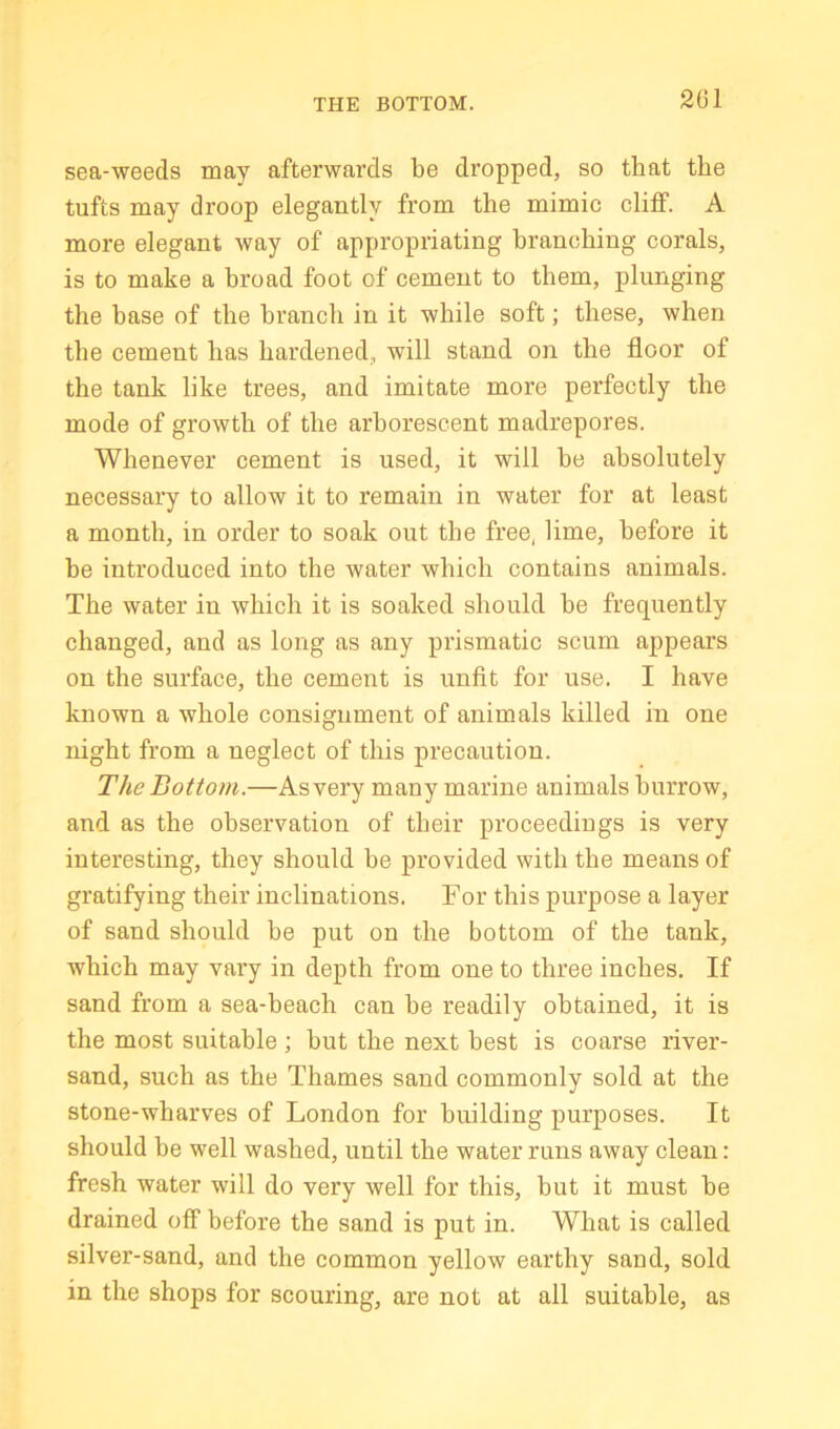 THE BOTTOM. sea-weeds may afterwards be dropped, so that the tufts may droop elegantly from the mimic clilf. A more elegant way of appropriating branching corals, is to make a broad foot of cement to them, plunging the base of the branch in it while soft; these, when the cement has hardened,, will stand on the floor of the tank like trees, and imitate more perfectly the mode of growth of the arborescent madrepores. Whenever cement is used, it will be absolutely necessary to allow it to remain in water for at least a month, in order to soak out the free, lime, before it be introduced into the water which contains animals. The water in which it is soaked should be frequently changed, and as long as any prismatic scum appears on the surface, the cement is unfit for use. I have known a whole consignment of animals killed in one night from a neglect of this precaution. The Bottom.—Asvery many marine animals burrow, and as the observation of their proceedings is very interesting, they should be provided with the means of gratifying their inclinations. For this purpose a layer of sand should be put on the bottom of the tank, which may vary in depth from one to three inches. If sand from a sea-beach can be readily obtained, it is the most suitable ; but the next best is coarse river- sand, such as the Thames sand commonly sold at the stone-wharves of London for building purposes. It should be well washed, until the water runs away clean: fresh water will do very well for this, but it must be drained off before the sand is put in. What is called silver-sand, and the common yellow earthy sand, sold in the shops for scouring, are not at all suitable, as