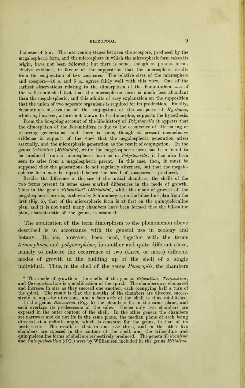 diameter of 5 /r. The intervening stages between the zoospore, produced by the megalospheric form, and the microsphere in which the microspheric form takes its origin, have not been followed ; but there is some, though at present incon- clusive evidence, in favour of the supposition that the microsphere results from the conjugation of two zoospores. The relative sizes of the microsphere and zoospore—10 ix.. and 5 ya., agrees fairly well with this view. One of the earliest observations relating to the dimorphism of the Foraminifera was of the well-established fact that the microspheric form is much less abundant than the megalospheric, and this admits of easy explanation on the su2iposition that the union of two separate organisms is required for its production. Finally, Schaudinn’s observation of the conjugation of the zoospores of Hyalopus, which is, however, a form not known to be dimorphic, supports the hypothesis. From the foregoing account of the life-history of Polystomclla it appears that the dimorphism of the Foraminifera is due to the occurrence of alternating or recurring generations, and there is some, though at present inconclusive evidence in support of the view that the megalospheric generation arises asexually, and the microspheric generation as the result of conjugation. In the genus Orhitolites {Miliolidce), while the megalospheric form has been found to be produced from a microspheric form as in Polystomella, it has also been seen to arise from a megalosjjheric parent. In this case, then, it must be supposed that the generations do not regularly alternate, but that the megalo- spheric form may be repeated before the brood of zoospores is produced. Besides the difference in the size of the initial chambers, the shells of the two forms present in some cases marked differences in the mode of growth. Thus in the genus Biloculina* {Miliolidx), while the mode of growth of the megalospheric form is, as shown by Schlumberger, on the biloculine plan from the first (Fig. 5), that of the microspheric form is at first on the quinqueloculine plan, and it is not until many chambers have been formed that the biloculine plan, characteristic of the genus, is assumed. The application of the term dimorphism to the phenomenon above described is in accordance with its general use in zoology and botany. It has, however, been used, together with the terms trimorpTiism and polymorphism, in another and quite different sense, namely to indicate the occurrence of two (three, or more) different modes of growth in the building up of the shell of a single individual. Thus, in the shell of the genus Peneroplis, the chambers * The mode of growth of the shells of the genera Biloculitm, Triloeulina, and Quinqucloculina is a modification of the spiral. The chambers are elongated and increase in size as they succeed one another, each occupying half a turn of the spiral. The result is that the mouths of the chambers are directed succes- .sively in opposite directions, and a long axis of the shell is thus established. In the genus Biloculina (Fig. 5) the chambers lie in the same plane, and each overlaps its predecessors at the sides. Hence only two chambers are exposed in the outer contour of the shell. In the other genera the chambers are narrower and do not lie in the same plane, the median plane of each being directed at a definite angle, which is constant for the genus, to that of its predecessor. The result is that in one case three, and in the other five chambers are exposed in the contour of the shell, and the triloculine and quinqueloculine forms of shell are respectively jproduced. The genera Triloeulina and Quinqucloculina (d’O.) were by Williamson inchided in the genus Miliolina.