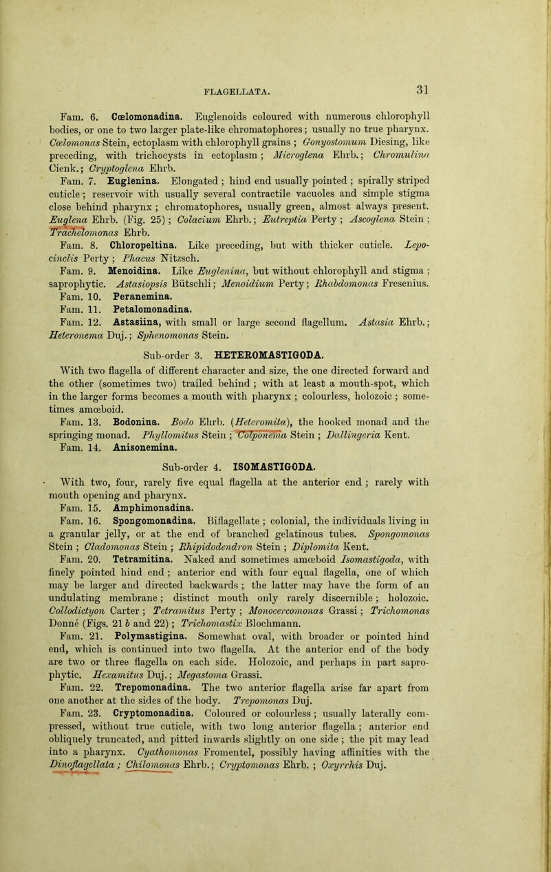Fam. 6. Coelomonadina. Euglenoids coloured witli numerous chlorophyll bodies, or one to two larger plate-like chroniatophores; usually no true pharynx. Ccelomonas Stein, ectoplasm with chlorophyll grains ; Gonyostomum Diesing, like preceding, with trichocysts in ectojdasra; Microglena Ehrb.; Chromulinn Cienk.; Cryptoglena Ehrb. Fam. 7. Euglenina. Elongated ; hind end usually pointed ; spirally striped cuticle ; reservoir with usually several contractile vacuoles and simple stigma close behind pharynx ; chromatophores, usually green, almost always present. Euglena Ehrb. (Fig. 25); Colacium, Ehrb.; Eutreptia Perty ; Ascoglena Stein ; Tracli^omoTuis Ehrb. Fam. 8. Chloropeltina. Like preceding, but with thicker cuticle. Lepo- cinclis Perty ; Phacus Nitzsch. Fam. 9. Menoidina. Like Euglenina, but without chlorophyll and stigma ; saprophytic. Astasiopsis Biitschli; Menoidium Perty; Fresenius. Fam. 10. Peranemina. Fam. 11. Petalomonadina. Fam. 12. Astasiiua, with small or large second flagellum. Astasia Ehrb.; Helcronema Duj.; Sphenomonas Stein. Sub-order 3. HETEROMASTIGODA. With two flagella of different character and size, the one directed forward and the other (sometimes two) trailed behind ; with at least a mouth-spot, which in the larger forms becomes a mouth with pharynx ; colourless, holozoic ; some- times amoeboid. Fam. 13. Bodonina. Eodo Ehrb. [Heteromita), the hooked monad and the springing monad. Phyllomitus Stein ; \joiponema Stein ; Dallingeria Kent. Fam. 14. Auisouemina. Sub-order 4. ISOMASTIGODA. With two, four, rarely five equal flagella at the anterior end ; rarely with mouth opening and pharynx. Fam. 15. Amphimonadina. F'am. 16. Spongomonadina. Biflagellate ; colonial, the individuals living in a granular jelly, or at the end of branched gelatinous tubes. Spongomonas Stein ; Cladomonas Stein ; Rhipidodendron Stein ; Diplomita Kent. Fam. 20. Tetramitina. Naked and sometimes amoeboid Isomastigoda, with finely pointed hind end ; anterior end with four equal flagella, one of which may be larger and directed backwards ; the latter may have the form of an undulating membrane; distinct mouth only rarely discernible; holozoic. Collodictyon Carter ; Tetraniitus Perty ; Monocercomonas Grassi; Trichomonas Donne (Figs. 21 b and 22); Triehomastix Blochmann. Fam. 21. Polymastigina. Somewhat oval, with broader or pointed hind end, which is continued into two flagella. At the anterior end of the body are two or three flagella on each side. Holozoic, and perhaps in part sapro- phytic. Hexamitus Duj.; Megastoma Grassi. Fam. 22. Trepomonadina. The two anterior flagella arise far apart from one another at the sides of the body. Trepornonas Duj. Fam. 23. Cryptomonadina. Coloured or colourless ; usually laterally com- pressed, without true cuticle, with two long anterior flagella ; anterior end obliquely truncated, and pitted inwards slightly on one side ; the pit may lead into a pharynx. Cyathomonas Fromentel, possibly having affinities with the Dinojlagellata ; Chilomonas Ehrb.; CryptomonasElxxh. ; Oxyrrhis T>v.].