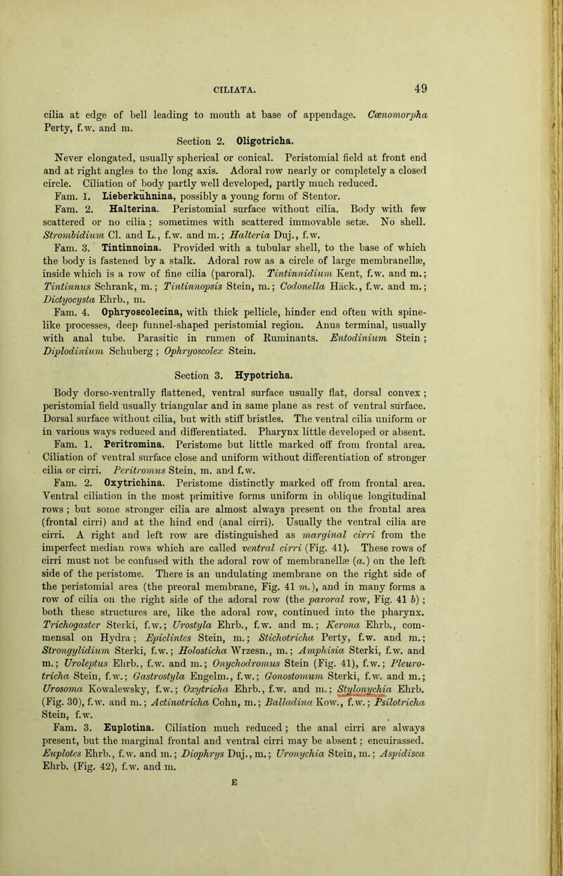 cilia at edge of bell leading to mouth at base of appendage. Cmnomorpha Perty, f.w. and m. Section 2. Oligotricha. Never elongated, usually spherical or conical. Peristomial field at front end and at right angles to the long axis. Adoral row nearly or completely a closed circle. Ciliation of body partly well developed, partly much reduced. Fam. 1. Lieberkuhnina, possibly a young form of Stentor. Fam. 2. Halterina. Peristomial surface without cilia. Body with few scattered or no cilia ; sometimes with scattered immovable setae. No shell. Strombidium Cl. and L., f.w. and m.; Halteria Duj., f.w. Fam. 3. Tintinnoina. Provided with a tubular shell, to the base of which the body is fastened by a stalk. Adoral row as a circle of large membranellae, inside which is a row of fine cilia (paroral). Tintinnidiuni Kent, f.w. and m.; Tintinmis Schrank, m.; Tintinnopsis Stein, m.; Codonella Hack., f.w. and m.; Dictyocysta Ehrb., m. Fam. 4. Ophryoscolecina, with thick pellicle, hinder end often with spine- like processes, deep fiinnel-shaped peristomial region. Anus terminal, usually with anal tube. Parasitic in rumen of Ruminants. Entodinmm Stein ; Diplodinium Schuberg ; Ophryoscolex Stein. Section 3. Hypotricha. Body dorso-ventrally flattened, ventral surface usually flat, dorsal convex ; peristomial field usually ti iangular and in same plane as rest of ventral surface. Dorsal surface without cilia, but with stiff bristles. The ventral cilia uniform or in various ways reduced and differentiated. Pharynx little developed or absent. Fam. 1. Peritromina. Peristome but little marked off from frontal area. Ciliation of ventral surface close and uniform without differentiation of sti’onger cilia or cirri. Peritromus Stein, m. and f.w. Fam. 2. Oxytrichina. Peristome distinctly marked off from frontal area. Ventral ciliation in the most primitive forms uniform in oblique longitudinal rows ; but some stronger cilia are almost always present on the frontal area (frontal cirri) and at the hind end (anal cirri). Usually the ventral cilia are cirri. A right and left row are distinguished as marginal cirri from the imperfect median rows which are called ventral cirri {Vig. 41). These rows of cirri must not be confused with the adoral row of membranellae {a.) on the left side of the peristome. There is an undulating membrane on the right side of the peristomial area (the preoral membrane. Fig. 41 m.), and in many forms a row of cilia on the right side of the adoral row (the paroral row. Fig. 41 h) ; both these structures are, like the adoral row, continued into the pharynx. Trichogastcr Sterki, f.w.; Urostyla Ehrb., f.w. and m.; Kerona Ehrb., com- mensal on Hydra; Epiclintes Stein, ni.; Stichotricha Perty, f.w. and m.; Strongylidium Sterki, f.w.; Jlolosticha'Wrzesn., m.; Amphisia Sterki, f.w. and m.; Uroleptus Ehrb., f.w. and m.; Onychodromus Stein (Fig. 41), f.w.; Pleuro- tricha Stein, f.w.; Gastrostyla Engelm., f.w.; Gonostomum Sterki, f.w. and m.; Urosoma Kowalewsky, f.w.; Oxytricha Ehrb., f.w. and m.; Stylonychia Ehrb. (Fig. 30), f.w. and m.; Actinotricha Cohn, m.; Balladina Kow., f.w.; Psilotricha Stein, f.w. Fam. 3. Euplotina. Ciliation much reduced; the anal cirri are always present, but the marginal frontal and ventral cirri may be absent; encuirassed. Euplotes Ehrb., f.w. and m.; Diophrys Duj., m.; Uronychia Stein, m.; Aspidisca Ehrb. (Fig. 42), f.w. and m. E
