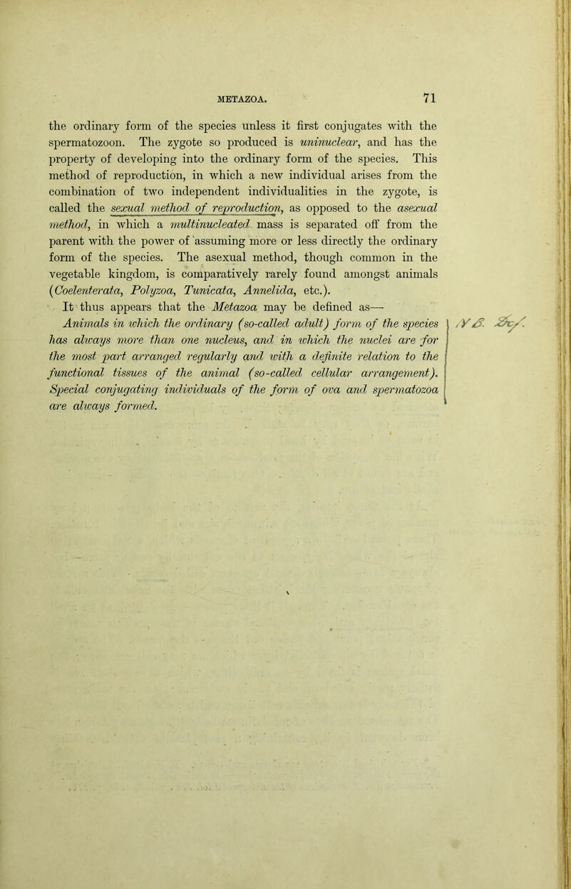 the ordinary form of the species unless it first conjugates with the spermatozoon. The zygote so produced is uninuclear, and has the property of developing into the ordinary form of the species. This method of reproduction, in which a new individual arises from the combination of two independent individualities in the zygote, is called the sexual method of reproduction, as opposed to the asexual method, in which a multinucleated mass is separated off from the parent with the power of assuming more or less directly the ordinary form of the species. The asexual method, though common in the vegetable kingdom, is comparatively rarely found amongst animals (Goelenterata, Polyzoa, Tunicata, Annelida, etc.). It thus appears that the Metazoa may be defined as— Animals in which the ordinary (so-called adult) form of the species has always more than one nucleus, and in ^ohieh the nuclei are for the most part arranged regularly and loith a definite relation to the functional tissues of the animal (so-called cellular arrangement). Special conjugcding individuals of the form of ova and spermatozoa are always fomned.