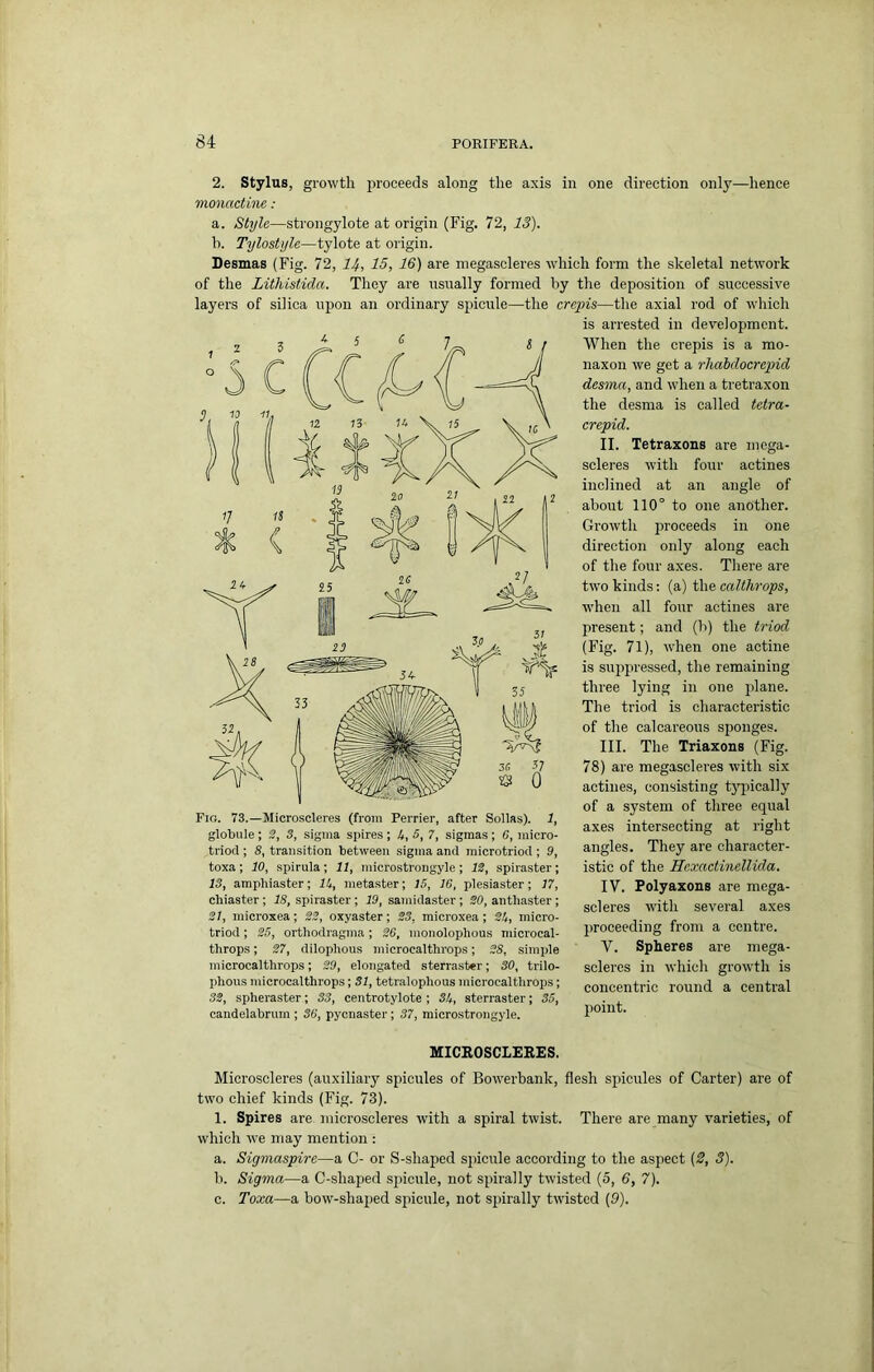 2. Stylus, gi’owth proceeds along tlie axis in one direction only—lienee monactine : a. Style—strongylote at origin (Fig. 72, 13). b. Tylostyle—tylote at oiigin. Desmas (Fig. 72, 14, IS, 16) are megascleres ivliich form the skeletal network of the Lithistida. They are usually formed by the deposition of successive layers of silica upon an ordinary spicule—the crepis—the axial rod of which is arrested in development. When the crepis is a mo- naxon we get a rhdbdocrepid desma, and when a tretraxon the desma is called tetra- crepid. II. Tetraxons are mega- scleres with four actines inclined at an angle of about 110° to one another. Growth p>roceeds in one direction only along each of the four axes. There are two kinds; (a) the ealthrops, when all four actines are present; and (b) the triad (Fig. 71), when one actine is suppressed, the remaining three lying in one plane. The triod is characteristic of the calcareous sponges. III. The Triaxons (Fig. 78) are megascleres with six actines, consisting t}qiically of a system of three equal axes intersecting at right angles. They are character- istic of the Hcxactinellida. IV. Folyaxons are mega- scleres with several axes proceeding from a centre. V. Spheres are mega- scleres in which growth is concentric round a central point. Fig. 73.—Microscleres (from Perrier, after Sollas). 1, globule ; 2, 3, sigma spires ; 4, 5, 7, sigmas ; C, inicro- triocl; S, transition between sigma and microtriocl; 9, toxa; 10, spirula; 11, microstrongyle; IS, spiraster; 13, amphiaster; It, metaster; 15, 16, plesiaster ; 17, chiaster; 18, spiraster; 19, samidaster; 20, antliaster; 21, microxea; 22, oxyaster; 23, microxea ; 2t, niicro- triod; 25, orthodragma; 26, monolophous niicrocal- throps; 27, dilophous microealthrops; 28, simple microcalthrops; 29, elongated sterrastier; SO, trilo- plious microcalthrops; SI, tetralophous microcalthrops; 32, spheraster; 33, centrotylote ; 34, sterraster; 35, candelabrum ; 36, pycnaster; 37, microstrongyle. mCBOSCLEFES. Microscleres (auxiliary spicules of Bowerbank, flesh spicules of Carter) are of two chief kinds (Fig. 73). 1. Spires are microscleres with a spiral twist. There are many varieties, of which we may mention : a. Sigmaspire—a C- or S-shaped spicule according to the aspect (Z, 3). b. Sigma—a C-shaped sjiicule, not spirally twisted (5, 6, 7). c. Toxa—a bow-shajied spicule, not spirally twisted {9).