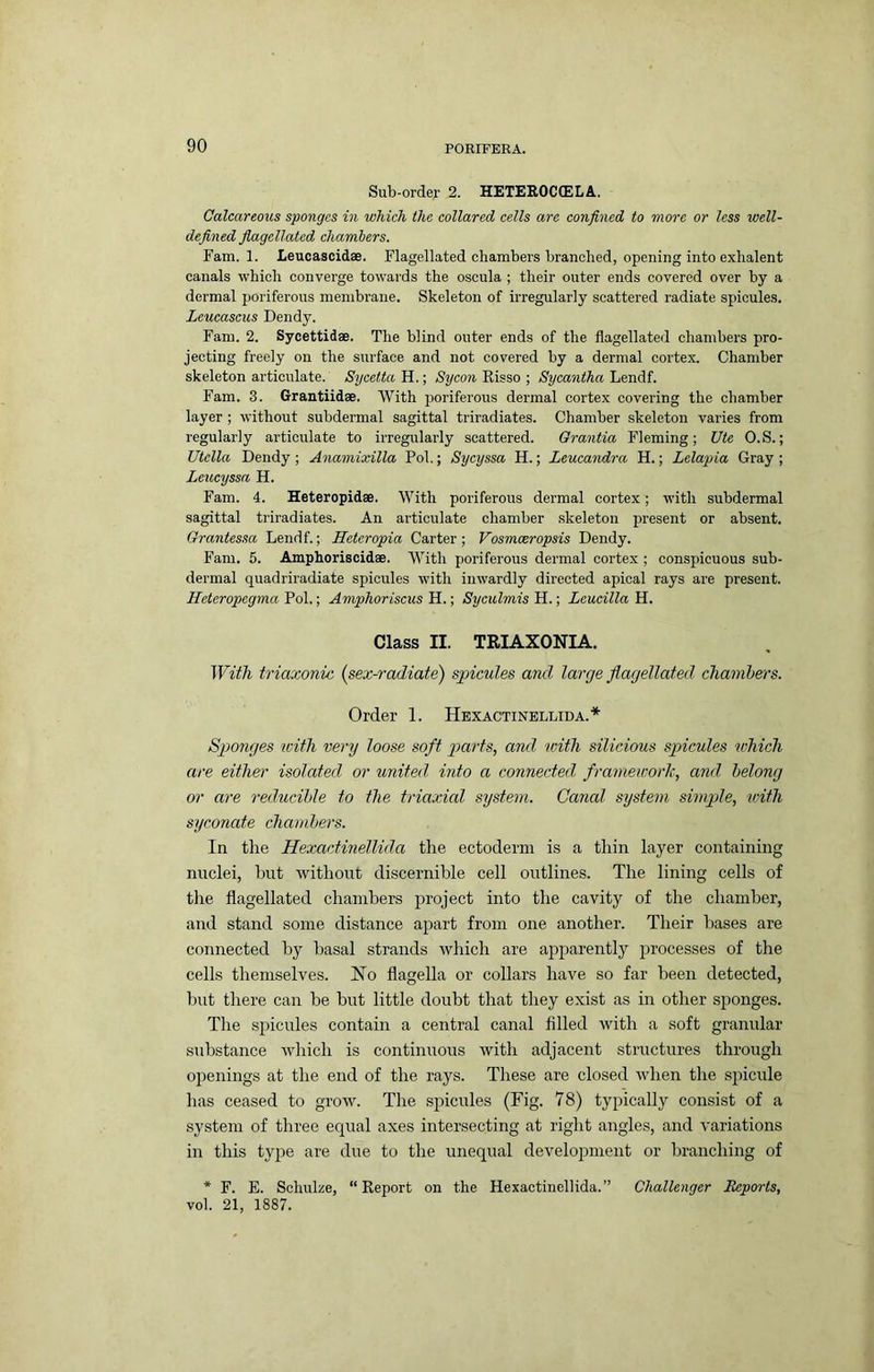Sub-order 2. HETEROCCELA. Calcareous sponges in which the collared cells are confined to more or less well- defined fiagellated chamhers. Fam. 1. Leucascidae. Flagellated chambers branched, opening into exhalent canals which converge towards the oscula ; their outer ends covered over by a dermal poriferous membrane. Skeleton of irregularly scattered radiate spicules. Leucascus Dendy. Fam. 2. Sycettidae. The blind outer ends of the flagellated chambers pro- jecting freely on the surface and not covered by a dermal cortex. Chamber skeleton articulate. Sycetta H.; Sycon Risso ; Sycantha Lendf. Fam. 3. Grantiidae. With ijoriferous dermal cortex covering the chamber layer ; without subdermal sagittal triradiates. Chamber skeleton varies from regularly articulate to irregularly scattered. Grantia Fleming; Ute O.S.; Utclla Dendy; Anamixilla Pol.; Sycyssa H.; Leucandra H.; Lelapia Gray ; Leucyssa H. Fam. 4. Heteropidae. With poriferous dermal cortex; with subdermal sagittal triradiates. An articulate chamber skeleton present or absent. Grantessa Lendf.; Hetcropia Carter; Vosmeeropsis Dendy. Fam. 5. Amphoriscidae. With poriferous dermal cortex ; conspicuous sub- dermal quadriradiate spicules with inwardly directed apical rays are present. Heteropegma Pol.; Amphoriscus H.; Syculmis H.; Leucilla H. Class II. TRIAXONIA. With triaxonic (sex-radiate) spicules and large flagellated chambers. Order 1. Hexactinellida.* Sponges with very loose soft parts, and with silicious spicules which are either isolated or united into a connected frameworh', and, belong or are reducible to the triaxial system. Canal system simjgle, with syconate chambers. In the Hexactinellida the ectoderm is a thin layer containing nuclei, but without discernible cell outlines. The lining cells of the flagellated chambers project into the cavity of the chamber, and stand some distance apart from one another. Their bases are connected by Imsal strands which are apparently processes of the cells themselves. No flagella or collars have so far been detected, but there can be but little doubt that they exist as in other sponges. The spicules contain a central canal filled with a soft granular substance which is continuous with adjacent structures through openings at the end of the rays. These are closed when the spicule has ceased to grow. The spicides (Fig. 78) typically consist of a system of three equal axes intersecting at right angles, and variations in this type are due to the unequal development or branching of * F. E. Schulze, “Report on the Hexactinellida.” Challenger Reports, vol. 21, 1887.