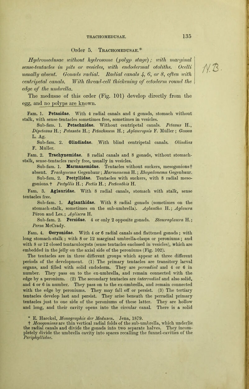 Order 5. Trachomedusae.* Hydromedusae without hydrosome (jpolyp stage); with marginal sense-tentacles in g>its or vesicles, with endodermal otoliths. Ocelli usually absent. Gonads radial. Radial canals 6, or 8, often with centripetal canals. With thread-cell thickening of ectoderm rouml the edge of the timhrella. The medusae of this order (Fig. 101) develop directly from the egg, and no polyps are known. Fam. 1. Petasidae. With 4 radial canals and 4 gonads, stomach without stalk, with sense-tentacles sometimes free, sometimes in vesicles. Suh-fani. 1. Petachnidae. Without centripetal canals. Petasus H., Dipetasiis H.; Petasata H.; Petachnum H.; Aglauropsis F. Muller ; Gossea L. Ag. Sub-fam. 2. Olindiadae. With blind centripetal canals. Olindias F. Muller. Fam. 2. Trachynemidae, 8 radial canals and 8 gonads, without stomach- stalk, sense-tentacles rarely free, usually in vesicles. Sub-fam. 1. Marmanemidae. Tentacles without suckers, mesogonionsf absent. Trachynema Gegenbaur; Marmanema H.; Rhopalonemu Gegenbaur. Sub-fam. 2. Pectyllidae. Tentacles with suckers, with 8 radial meso- gonions.t Pectyllis H.; Pectis H.; Pectanthis H. Fam. 3. Aglauridae. With 8 radial canals, stomach with stalk, sense tentacles free. Sub-fam. 1. Aglanthidae. With 8 radial gonads (sometimes on the stomach-stalk, sometimes on the sub-umbrella). Aglantha H.; Aglaura Peron and Les.; Agliscra H. Sub-fam. 2. Persidae. 4 or only 2 opposite gonads. Stauraglaura H.; Persa McCrady. Fam. 4. Geryonidae. With 4 or 6 radial canals and flattened gonads ; with long stomach-stalk ; with 8 or 12 marginal umbrella-clasps or peroniuins ; and with 8 or 12 closed tentaculocysts (sense tentacles enclosed in vesicles), which are embedded in the jelly on the axial side of the peroniuras (Fig. 102). The tentacles are in three difl'erent groups which appear at three different periods of the development. (1) The primary tentacles are transitory larval organs, and filled with solid endoderm. They are pcrradial and 4 or 6 in number. They pass on to the ex-umbrella, and remain connected with the edge by a peronium. (2) The secondary tentacles are interradial and also solid, and 4 or 6 in number. They pass on to the ex-umbrella, and remain connected with the edge by peroniums. They may fall off or persist. (3) The tertiary tentacles develop last and persist. They arise beneath the perradial primary tentacles just to one side of the peroniums of these latter. They are hollow and long, and their cavity opens into the circular canal. There is a solid * E. Haeckel, Monographie der Medusen. Jena, 1879. t Mesogonions are thin vertical radial folds of the sub-umbrella, which underlie the radial canals and divide the gonads into two separate halves. They incom- jiletely divide the umbrella cavity into spaces recalling the funnel-cavities of the Periphyllidac.