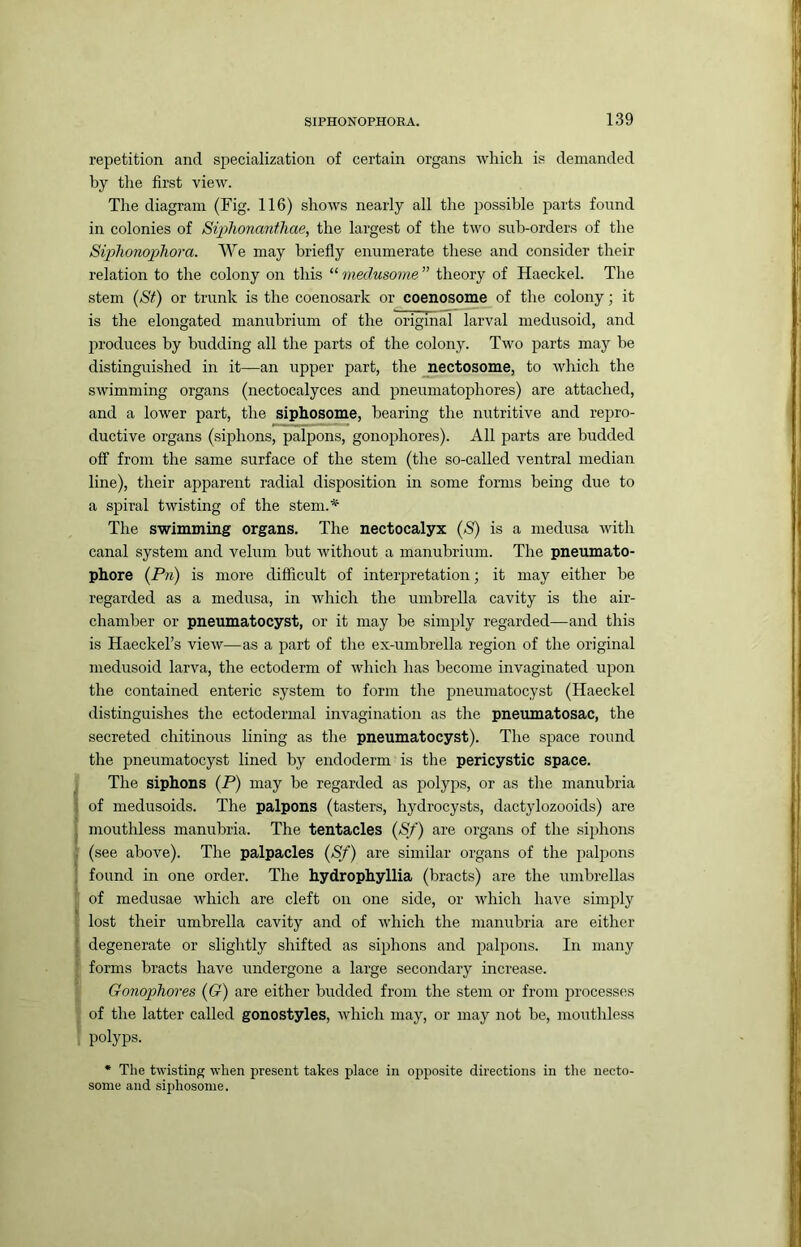 repetition and specialization of certain organs which is demanded by tlie first view. The diagram (Fig. 116) shows nearly all the possible j^arts found in colonies of Siplionaniliae, the largest of the two sub-orders of the Siplwnopjhora. We may briefly enumerate these and consider their relation to the colony on this “ medusome ” theory of Haeckel. The stem (Si) or trunk is the coenosark or coenosome of the colony; it is the elongated manubrium of the original larval medusoid, and produces by budding all the parts of the colony. Two parts may be distinguished in it—an upper part, the jnectosome, to which the swimming organs (nectocalyces and pneumatophores) are attached, and a lower part, the siphosome, bearing the nutritive and repro- ductive organs (siphons, palpons, gonophores). All parts are budded off from the same surface of the stem (the so-called ventral median line), their apparent radial disposition in some forms being due to a spiral twisting of the stem.* The swimming organs. The nectocalyx (S) is a medusa with canal system and velum hut without a manubrium. The pneumato- phore (-Pn) is more difficult of interjiretation; it may either he regarded as a medusa, in which the umbrella cavity is the air- chamber or pneumatocyst, or it may be simply regarded—and this is Haeckel’s view—as a part of the ex-umbrella region of the original medusoid larva, the ectoderm of which has become invaginated irpon the contained enteric system to form the pneumatocyst (Haeckel distinguishes the ectodermal invagination as the pneumatosac, the secreted chitinous lining as the pneumatocyst). The space round the pneumatocyst lined by endoderm is the pericystic space. The siphons (P) may he regarded as polyps, or as the manuhria of medusoids. The palpons (tasters, hydrocysts, dactylozooids) are mouthless manuhria. The tentacles (S/) are organs of the siphons (see above). The palpacles (Sf) are similar organs of the palpons found in one order. The hydrophyllia (bracts) are the umbrellas of medusae which are cleft on one side, or which have simply lost their umbrella cavity and of which the manuhria are either degenerate or slightly shifted as siphons and palpons. In many forms bracts have undergone a large secondary increase. Gonophores (G) are either budded from the stem or from processes of the latter called gonostyles, which may, or may not he, mouthless polyps. * The twisting when present takes place in opposite directions in the necto- some and siphosome.