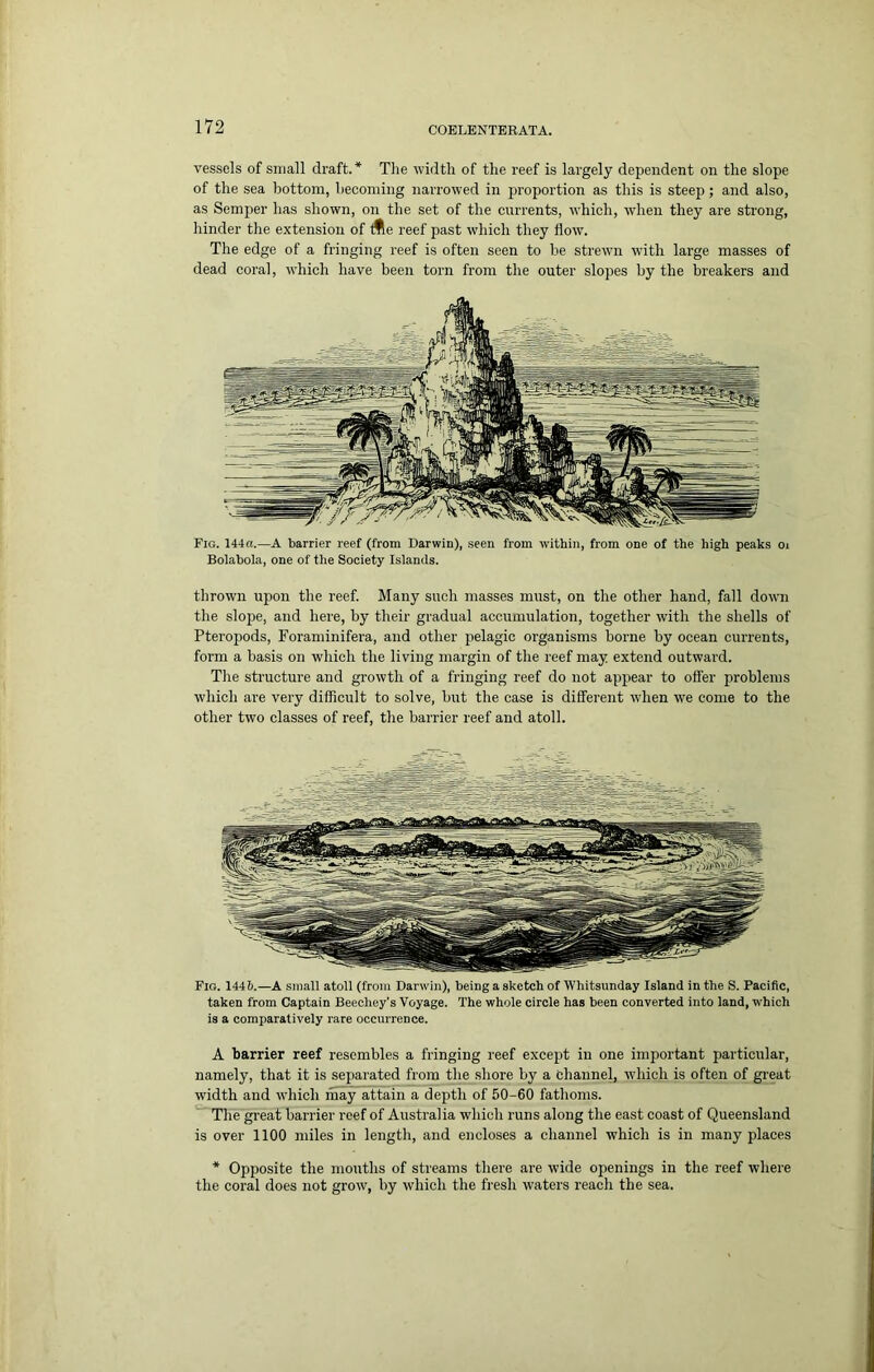 vessels of small draft.* The width of the reef is largely dependent on the slope of the sea bottom, becoming narrowed in proportion as this is steep; and also, as Semper has shown, on the set of the currents, which, when they are strong, hinder tlie extension of ifte reef past which they flow. The edge of a fringing reef is often seen to be strewn with large masses of dead coral, which have been torn from the outer slopes by the breakers and Fig. 144a.—A barrier reef (from Darwin), seen from within, from one of the high peaks oi Bolabola, one of the Society Islands. thrown upon the reef. Many such masses must, on the other hand, fall down the slope, and here, by their gradual accumulation, together with the shells of Pteropods, Foraminifera, and other pelagic organisms borne by ocean currents, form a basis on which the living margin of the reef may extend outward. The structure and growth of a fringing reef do not appear to ofl'er problems which are very difficult to solve, but the case is different when we come to the other two classes of reef, the barrier reef and atoll. Pio. 144!).—A small atoll (from Darwin), being a sketch of Whitsunday Island in the S. Pacific, taken from Captain Beechey’s Voyage. The whole circle has been converted into land, which is a comparatively rare occurrence. A barrier reef resembles a fringing reef except in one important particular, namely, that it is separated from the shore by a channel, which is often of gi-eat width and which may attain a depth of 50-60 fathoms. The gi’eat barrier reef of Australia which runs along the east coast of Queensland is over 1100 miles in length, and encloses a channel which is in many places * Opposite the mouths of streams there are wide openings in the reef where the coral does not grow, by which the fresh waters reach the sea.