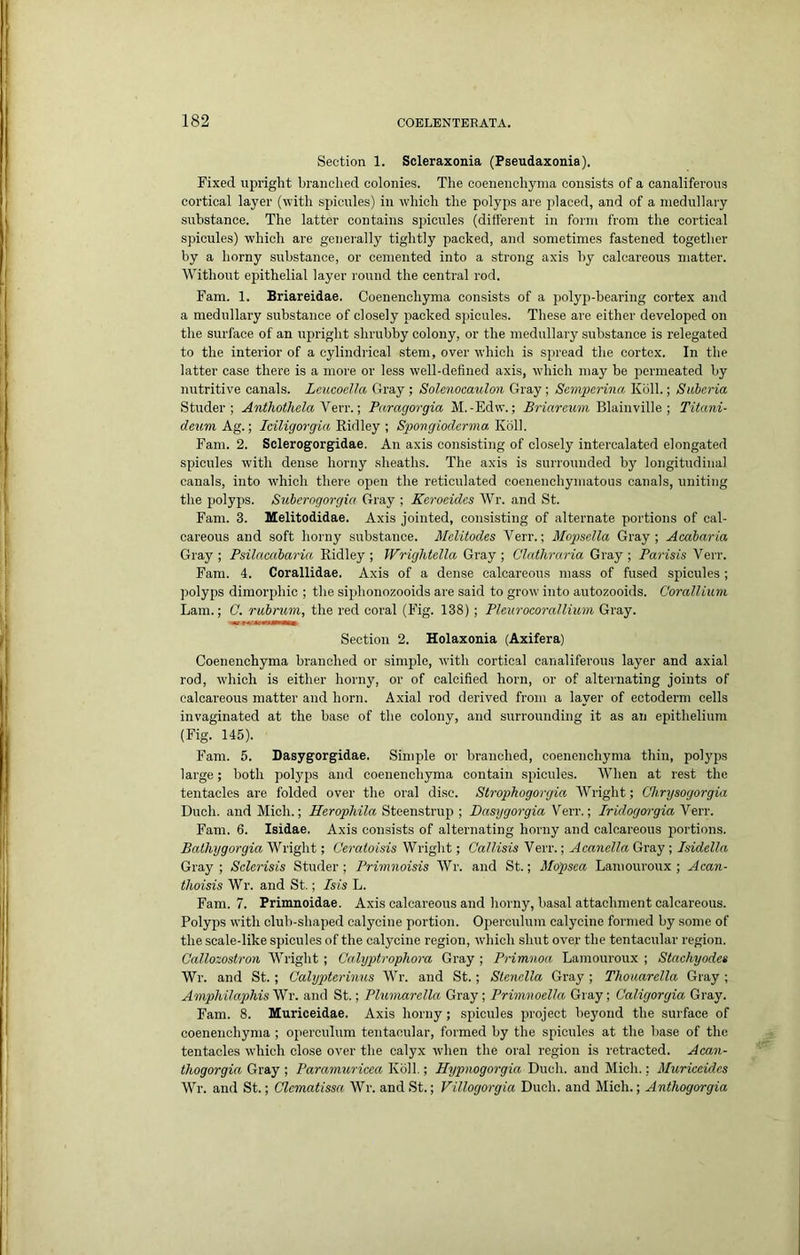 Section 1. Scleraxonia (Pseudaxonia). Fixed upright branched colonies. The coenenchyma consists of a canaliferous cortical layer (with spicules) in which the polyps are placed, and of a medullary substance. The latter contains spicules (different in form from the cortical spicules) which are generally tightly packed, and sometimes fastened together by a horny substance, or cemented into a strong axis by calcareous matter. Without epithelial layer round the central rod. Fam. 1. Briareidae. Coenenchyma consists of a jiolyji-bearing cortex and a medullary substance of closely packed spicules. These are either developed on the surface of an upright shrubby colony, or the medullary substance is relegated to the interior of a cylindi'ical stem, over which is spread the cortex. In the latter case there is a more or less well-defined axis, which may be permeated by nutritive canals. Lcucoella Gray ; Solmocaiilon Gray; Scmperina Kbll.; Suberia Studer ; Anthothela Yerr.; Paragorgia M.-Edw.; Briareum Blainville ; Titani- deum Ag.; Iciligorgia Ridley ; Spongioderma, Kbll. Fam. 2. Sclerogorgidae. An axis consisting of closely intercalated elongated spicules with dense horny sheaths. The axis is surrounded by longitudinal canals, into which there open the reticulated coenenchymatous canals, uniting the polyps. Suherngorgia Gray ; Keroeides Wr. and St. Fam. 3. Melitodidae. Axis jointed, consisting of alternate portions of cal- careous and soft horny substance. Melitodes Verr.; Mopsclla Gray; Acaharia Gray ; Psilacabaria Ridley ; Wrightella Gray ; Clathraria Gray ; Parisis Verr. Fam. 4. Corallidae. Axis of a dense calcareous mass of fused spicules ; polyps dimorphic ; the sijihonozooids are said to grow into autozooids. Coralliuni Lam.; C. rubruni, the red coral (Fig. 138) ; Pleurocorallium Gray. Section 2. Holaxonia (Axifera) Coenenchyma branched or simple, with cortical canaliferous layer and axial rod, which is either horny, or of calcified horn, or of alternating joints of calcareous matter and horn. Axial rod derived from a layer of ectoderm cells invaginated at the base of the colony, and surrounding it as an epithelium (Fig. 145). Fam. 5. Dasygorgidae. Simple or branched, coenenchyma thin, polyps large; both polyps and coenenchyma contain spicules. When at rest the tentacles are folded over the oral disc. Strophogorgia Wright; C%rysogorgia Duch. and Mich.; Herophila Steenstrup ; Ba&ygorgia Verr.; Iridogorgia Verr. Fam. 6. Isidae. Axis consists of alternating horny and calcareous portions. Balhygorgia Wright; Ceraioisis Wright; Callisis Verr.; Acanella Gray ; Isidella Gray ; Sderisis Studer ; Primnoisis Wr. and St.; Mopsea Lamouroux ; Acan- thoisis Wr. and St.; Isis L. Fam. 7. Primnoidae. Axis calcareous and horny, basal attachment calcareous. Polyps with club-shaped calycine portion. Ojierculum calycine formed by some of the scale-like spicules of the calycine region, which shut over the tentacular region. Callozostron Wright ; Calyptrophora Gray ; Primnoa Lamouroux ; Stachyodes Wr. and St.; Calypterimis Wr. and St.; Stenella Gray; Thoiiardla Gray ; Aniphilaphis Wr. and St.; Plumarella Gray; PrimnoelJa Gr ay; Caligorgia Gray. Fam. 8. Muriceidae. Axis horny; spicules project beyond the surface of coenenchyma ; operculum tentacular, formed by the spicules at the base of the tentacles which close over the calyx when the oral region is retracted. Acan- thogorgia Gray ; Paramuricca Kbll.; Hypnogorgia Duch. and Mich.; Muriceidcs Wr. and St.; Clcmatissa Wr. and St.; Villogorgia Duch. and Mich.; Anthogorgia