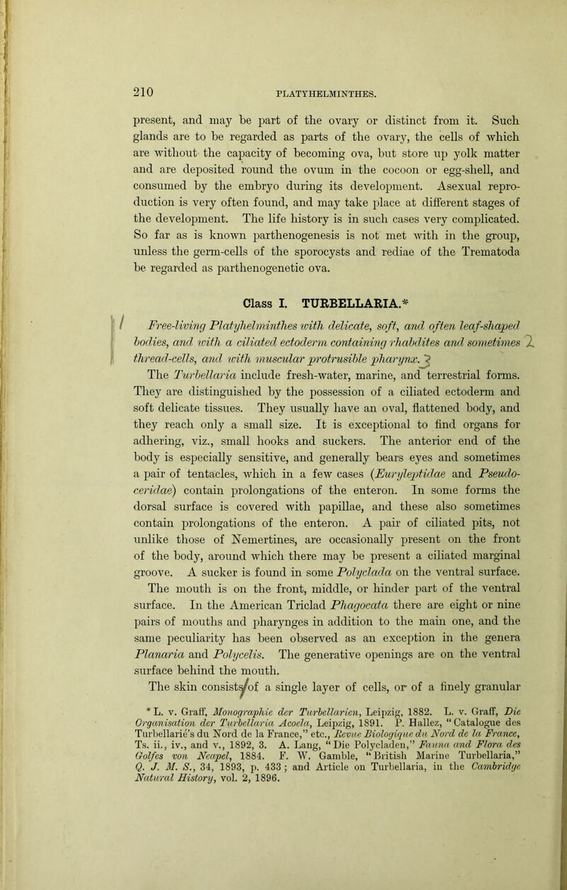 present, and may be part of the ovary or distinct from it. Such glands are to be regarded as parts of the ovary, the cells of which are without the capacity of becoming ova, but store up yolk matter and are deposited round the ovum in the cocoon or egg-sheU, and consumed by the embryo during its development. Asexual repro- duction is very often found, and may take j^lace at different stages of the development. The life history is in such cases very complicated. So far as is known parthenogenesis is not met with in the group, unless the germ-cells of the sporocysts and rediae of the Trematoda be regarded as parthenogenetic ova. Class I. TURBELLARIA.* Free-living Platylielminthes with delicate, soft, and often leaf-shaped bodies, ami with a ciliated ectoderm containmg rhabdites and sometimes 7. thread-cells, and icith muscular protrusible pharynx.^ The Turbellaria include fresh-water, marine, and terrestrial forms. They are distinguished by the possession of a ciliated ectoderm and soft delicate tissues. They usually have an oval, flattened body, and they reach only a small size. It is exceptional to find organs for adhering, viz., small hooks and suckers. The anterior end of the body is especially sensitive, and generally bears eyes and sometimes a pair of tentacles, which in a few cases {EurylegMdae and Pseudo- ceridae) contain prolongations of the enteron. In some forms the dorsal surface is covered with papillae, and these also sometimes contain iDrolongations of the enteron. A pair of ciliated pits, not unlike those of Nemertines, are occasionally present on the front of the body, around which there may be present a ciliated marginal groove. A sucker is found in some Poly clad a on the ventral surface. The mouth is on the front, middle, or hinder part of the ventral surface. In the American Triclad Phagocata tliere are eight or nine pairs of mouths and pharynges in addition to the main one, and the same iDeculiarity has been observed as an exception in the genera Planaria and Polycelis. The generative openings are on the ventral surface behind the mouth. The skin consist^of a single layer of cells, or of a finely granular * L. V. Graff, MonograpMe der Turhellarien, Leipzig, 1882. L. v. Graff, Die Organisation der Turbellaria Acoela, Leipzig, 1891. P. Hallez, “Catalogue de.s Turbellarie’s du Nord de la France,” etc.. Revue Biologique du Nord de la France, Ts. ii., iv., and v., 1892, 3. A. Lang, “Die Polycladeu,” Fauna and Flora des Golfes von Neapel, 1884. F. W. Gamble, “ British Marine Turbellaria,” Q. J. M. S., 34, 1893, p. 433; and Article on Turbellaria, in the Cambridge Natural History, vol. 2, 1896.
