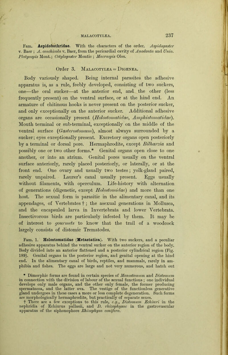 Fam. Aspidobothridae. With the characters of the order. Aspidogaster V. Baer ; A. conchicolaY. Baer, from the pericardial cavity of Anodonta and Unio. Platyaspis Mont.; Cotylogaster- Montic ; Macraspis Olss. Order 3. Malacotylba = Digenba. Body variously shaped. Being internal parasites the adhesive apparatus is, as a rule, feebly developed, consisting of two suckers, one—the oral sucker—at the anterior end, and the other (less frequently present) on the ventral surface, or at the hind end. An armature of chitinous hooks is never present on the posterior sucker, and only exceptionally on the anterior sucker. Additional adhesive organs are occasionally present {Holostomatidae, Aniphistomatidae). Mouth terminal or sub-terminal, exceptionally on the middle of the ventral surface {Gastevostomum), almost always surrounded by a sucker; eyes exceptionally present. Excretory organs open posteriorly by a terminal or dorsal pore. Hermaphrodite, except Bilharzia and possibly one or two other forms.* Genital organs open close to one another, or into an atrium. Genital pores usually on the ventral surface anteriorly, rarely placed posteriorly, or laterally, or at the front end. One ovary and usually two testes; yolk-gland paired, rarely unpaired. Laurer’s canal usually present. Eggs usually without filaments, with operculum. Life-history with alternation of generations (digenetic, except Holostomidae) and more than one host. The sexual form is parasitic in the alimentary canal, and its appendages, of Vertebrates f the asexual generations in IMollusca, and the encapsuled larva in Invertebrata and lower Vertebrata. Insectivorous birds are particularly infested by them. It may be of interest to gourmets to know that the trail of a woodcock largely consists of distomic Trematodes. Fam. 1. Holostomatidae (Metastatica). With two suckers, and a peculiar adhesive apparatus behind the ventral sucker on the anterior region of the body. Body divided into an anterior flattened and a posterior cylindrical region (Fig. 189). Genital organs in the posterior region, and genital opening at the hind end. In the alimentary canal of birds, reptiles, and mammals, rarely in am- phibia and Ashes. The eggs are large and not very numerous, and hatch out * Dimorphic forms are found in certain species of Monostomum and Distomum in connection with the division of labour of the sexual functions ; one individual develops only male organs, and the other only female, the former producing spermatozoa, and the latter ova. The vestige of the functionless generative gland undergoes in these cases a more or less complete degeneration. Such forms are morphologically hermaphrodite, but practically of separate sexes. t There are a few exceptions to this rule, e.g., Distomum Eehiuri in the nephridia of Echiurus pallasii, and D. rhizophysae in the gastrovascular apparatus of the siphonophore Rhizophysa conifera.