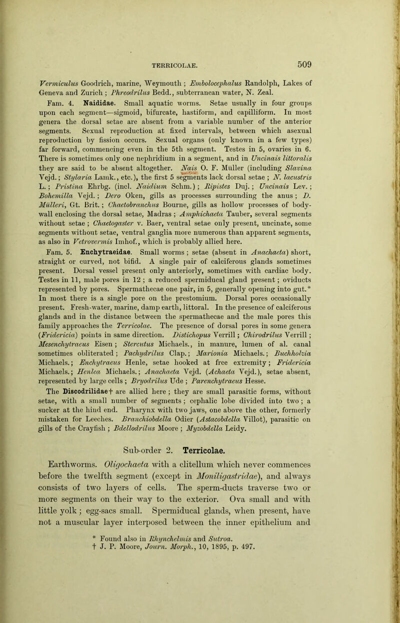 Vermiculus Goodrich, marine, Weymouth ; Emholocephalus Randolph, Lakes of Geneva and Zurich ; Phreodrilus Bedd., subterranean water, N. Zeal. Fain. 4. Naididae. Small aquatic worms. Setae usually in four groups upon each segment—sigmoid, bifurcate, hastiform, and capilliform. In most genera the dorsal setae are absent from a variable number of the anterior segments. Sexual reproduction at fixed intervals, between which asexual reproduction by fission occurs. Sexual organs (only known in a few types) far forward, commencing even in the 5th segment. Testes in 5, ovaries in 6. There is sometimes only one nephridium in a segment, and in Uncinais liitoralis they are said to be absent altogether. liais 0. F. Muller (including Slavina Vejd.; Stylaria Lanik., etc.), the first 5 segments lack dorsal setae ; JV. laeustris L.; Pristina Ehrbg. (inch Naidium Schm.); liipistes Duj.; Uncinais Lev.; Bohemilla Vejd.; Dero Oken, gills as processes surrounding the anus ; D. Miilleri, Gt. Brit.; Chaetobranchus Bourne, gills as hollow processes of body- wall enclosing the dorsal setae, Madras ; Amphichacta Tauber, several segments without setae ; Chaetogaster v. Baer, ventral setae only jiresent, uncinate, some segments without setae, ventral ganglia more numerous than apparent segments, as also in Vetrovermis Imhof., which is probably allied here. Fam. 5. Enchytraeidae. Small worms ; setae (absent in Anachaeta) short, straight or curved, not bifid. A single pair of calciferous glands sometimes present. Dorsal vessel present only anteriorly, sometimes with cardiac body. Testes in 11, male pores in 12 ; a reduced spermiducal gland present; oviducts represented by pores. Spermathecae one pair, in 5, generally opening into gut.* In most there is a single pore on the prestomium. Dorsal pores occasionally present. Fi’esh-water, marine, damp earth, littoral. In the presence of calciferous glands and in the distance between the spermathecae and the male pores this family approaches the Terricolae. The presence of dorsal pores in some genera {Fridcricia) points in same direction. Distichopus Verrill; Chirodrilus Verrill; Mesenehytraeus Eisen; Stercutus Michaels., in manure, lumen of al. canal sometimes obliterated; Pachydrilns Clap.; Marionia Michaels.; Buchholzia Michaels.; Enchytraeus Henle, setae hooked at free extremity; Fridcricia Michaels.; Henlca Michaels.; Anachaeta Vejd. (Achaeta Vejd.), setae absent, represented by large cells ; Bryodrilus Ude ; Parenchytraeus Hesse. The Discodrilidae t are allied here; they are small parasitic forms, without setae, with a small number of segments ; cephalic lobe divided into two ; a sucker at the hind end. Pharynx with two jaws, one above the other, formerly mistaken for Leeches. Branchiobdella Odier {Astacobdella Villot), parasitic on gills of the Crayfish ; Bdellodrilus Moore ; Myzohdella Leidy. Sub-order 2. Terricolae. Earthworms. Oligochaeta witli a clitellum which never commences before the twelfth segment (except in Moniligastridae), and always consists of two layers of cells. The sperm-ducts traverse two or more segments on their way to the exterior. Ova small and with little yolk; egg-sacs small. Spermiducal glands, when present, have not a muscular layer interposed between the inner epithelium and * Found also in Bhynchelmis and Sutroa. t J. P. Moore, Journ. Morph., 10, 1895, p. 497.