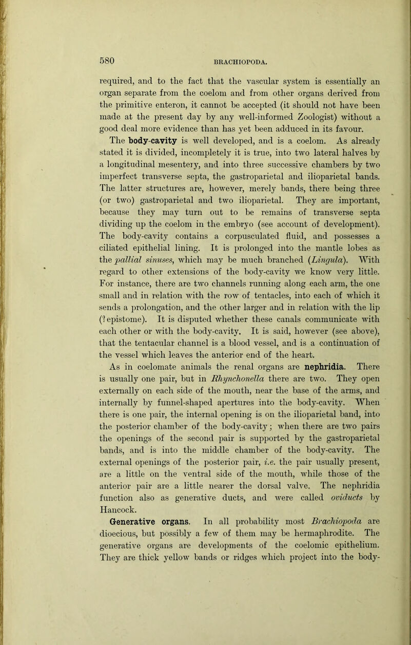 required, and to the fact that the vascular system is essentially an organ separate from the coelom and from other organs derived from the primitive enteron, it cannot be accepted (it should not have been made at the present day hy any well-informed Zoologist) without a good deal more evidence than has yet been adduced in its favour. The body-cavity is well developed, and is a coelom. As already stated it is divided, incompletely it is true, into two lateral halves by a longitudinal mesentery, and into three successive chambers hy two imperfect transverse septa, the gastroparietal and ilioparietal bands. The latter structures are, however, merely bands, there being three (or two) gastroparietal and two ilioparietal. They are important, because they may turn out to be remains of transverse septa dividing up the coelom in the embryo (see account of development). The body-cavity contains a corpusculated fluid, and possesses a ciliated epithelial lining. It is prolonged into the mantle lobes as 2Kdlial sinuses, which may be much branched {Lingula). With regard to other extensions of the body-cavity we know very little. For instance, there are two channels running along each arm, the one small and in relation with the row of tentacles, into each of which it sends a prolongation, and the other larger and in relation with the lip (1 epistome). It is disputed whether these canals communicate with each other or with the body-cavity. It is said, however (see above), that the tentacular channel is a blood vessel, and is a continuation of the vessel which leaves the anterior end of the heart. As in coelomate animals the renal organs are nephridia. There is usually one pair, but in Rhynclionella there are two. They open externally on each side of the mouth, near the base of the arms, and internally by funnel-shaped apertures into the hody-cavity. When there is one pair, the internal opening is on the ilioparietal band, into the posterior chamber of the body-cavity; when there are two pairs the openings of the second pair is supported by the gastroparietal bands, and is into the middle chamber of the body-cavity. The external openings of the 230sterior pair, i.e. the pair usually present, are a little on the ventral side of the mouth, while those of the anterior pair are a little nearer the dorsal valve. The nephridia function also as generative ducts, and were called oviducts Ijy Hancock. Generative organs. In all probability most Brachiopoda are dioecious, hut possibly a fcAV of them may he hermaphrodite. The generative organs are developments of the coelomic eirithelium. They are thick yellow bands or ridges which project into the body-