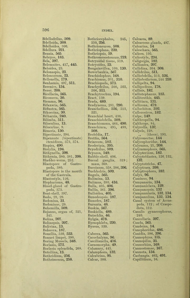 Bdellodrilus, 509. Bdelloida, 308. Bdelloidea, 300. Bdellura. 221. Beania, 565. Bebryce, 183. Bela, 397. Belemnites, 417, 445. Beloidea, 23. Belonaspis, 23. Belonozoum, 23. Belloiiella, 179. Benhamia, 497, 511. Bei’enice, 134. Beroe. 208. Bicellaria, 565. Bicosoeca, 30. Biemnia, 96. Bifaxavia, 565. Biflustra, 565. Bikoecina, 30. Bilharzia, 240. Bilimba, 511. Biloculiiia, 13. Biloculiiie, 9. Bimeria, 130. Bipectiiiate, 394. Bipeiiiiate (bipectiiiate) cteiiidiiiiii, 373, 374. Bispira, 490. Bistylia, 194. Bithyiiella, 398. Bithyiiia, 380, 381, 398. Bladder-worm, 252. Blastopore of Gastro- ])oda, 380. Blastopore is the moutli of the Gastriila. Blastostyle, 126. Blepharisma, 48. Blood-gland of Gastro- poda, 373. Boat-shell, 397. Bodo, 28, 29. Bodoiiiiia, 31. Bodoiiinae, 29. Boheiiiilla, 509. Bojaiuis, organ of, 321, 341. Bolina, 207. Bolinopsis, 207. Bolivina, 13. Bolocora, 187. Ronellia, 530, 533. Bonnet limpet, 398. Boring Mussels, 348. Borlasia, 272. Borlasia splendida, 268. Botellina, 13. Botliridiuiu, 256. Bothriinoniis, 258. Bothriooephalus, 245, 250, 256. Bothrioneiiron, 508. Bothrioplaiia, 220. Botliriopsis, 59. Bothromesostoinuin,219. Botryoidal tissue, 519. Botryoidea, 23. Bougainvillea, 109, 130. Bowerbankia, 567. Brachiolophus, 168. Bracliionus, 301, 310. Brachiopoda, 573. Bracliydrilus, 500, 503, 506, 511. Brachytroohus, 194. Bract, 139. Brada, 489. Bradynema, 281, 290. Brancbellion, 526, 513, 521. Branchial heart, 436. Branchiobdella, 509. Braneliiomma, 464, 490. Branchiura, 495, 498, 508. Brefeldia, 17. Brettia, 564. Briarenni, 182. Broderipia, 395. Bryodriliis, 509. Bryozoa, 549. Bubble-shell, 406. Buccal ganglia, 319 ; mass, 369. Buccinum, 358, 386, 396. Bucbholzia, 509. Bugula, 565. Bulimina, 13. Bulimus, 380, 416. Bulla, 405, 406. Bullia, 361. 396. Bulloidea, 405. Bunodeop.sis, 187. Bunodes, 187. Bursaria. 48. I Buskia, 567. ' Buskiella, 489. Butschlia, 46. Bylgia, 478. Byrsophlebs, 220. Byssus, 330. Caberea, 565. Cacochalyua, 96. Caecilianella, 416. ! Caenomorpha, 49. Calamary, 445. Calamphora, 132. Calcabrina, 95. Calcar, 300. Calcarea, 89. Calcareous glands, 497. Calcarina, 14 Caleschara, 565. Calices, 195. Calicotyle, 234. Caligorgia, 182. Callianira, 207. Callidina, 304. 308, Callidrilus, 511. Calliobdella, 513, 526. Calliobothrium, 244 259. Callipelta, 94. Callipodium, 178. Callisis, 182. Callistei)hanus. 183. Calliteuthis, 445. Callitiara, 131. Callizona, 479. Callochiton, 392. Callozostron, 182. Calpc, 149. Calthrojiclla, 94. Calthrops, 84. Calycella, 132. Calycle, 128. ,, (theca), 193. Calyconectae, 144 Calycophoridae, 144. Calymma, 21, 208. Calymniojihora, 565. Calyi)tcrinus, 182. Calyjitoblastea, 126,132, 132. Calyptotricha, 47. Calyptraea, 398. Calyptro])hora, 182. Calyx, 96. Caminus, 94. Campanaria, 134. CaniTianiclava, 129. Campano])sis, 132 Campanularia, 132, 134. Campanulina, 132, 134. Canal .system of Acras- peda, 112; of Craspe- dota, 112. Canalis gynaecophorus, 240. Cancel laria. 397. Canda, 565. Candeina, 14. Canephoridae, 486. Canidia. 386, 396. Cannophysa. 155. Cannojiilus, 35. Cannorhiza, 168. Canno.stomae, 167. Cannota, 134. Caobangia, 462, 491. Capillitium, 16.