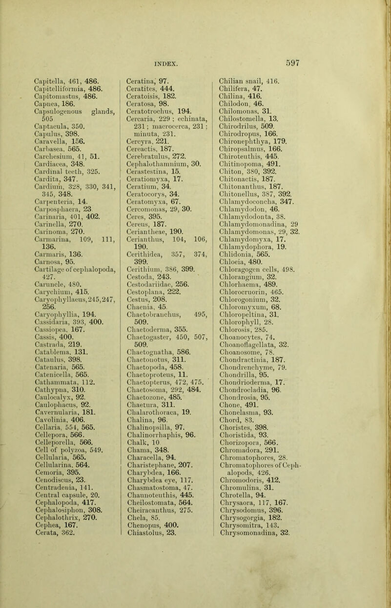 Cajiitella, 461, 486. Cajiitelliforiiiia, 486. Ca])itoniastus, 486. Capiiea, 186. Capsiilogenous glands, 505 Cajitacula, 350. Capulus, 398. Caravella, 156. Cai'basea. 565. Carcliesium, 41, 51. Cardiaeea, 348. Cardinal teeth, 325. Cardita, 347. Cardinhi, 328, 330, 341, 345, 348. Carpenteria, 14. Carpo.spliaera, 23 Carimu'ia, 401, 402. Carinella, 270. Carinonia, 270. Carniarina, 109, 111, 136. Cannaris, 136. Carnosa, 95. Cartilage of cephalopoda, 427. Caruncle, 480. Carychium, 415. Caryophyllaeus,245,247, 256. Caryophyllia, 194. Cassidaria, 393, 400. Cassiopea, 167. Cassis, 400. Castrada, 219. Catahlema, 131. Cataulus, 398. Catenaria, 565. Catenicella, 565. Cathaiumata, 112. Cathypna, 310. Caulocalyx, 92. Cauloiihacus, 92. Cavernularia, 181. Cavolinia, 406. Cellaria, 554, 565. Cellepora, 566. Celleporella, 566. Cell of polyzoa, 549. Cellularia, 565. Cellularina. 564. Ceinoi'ia, 395. Cenodiscus, 23. Centradeiiia, 141. Central capsule, 20. Cej)halopoda, 417. Cephalosiphon, 308. Cephalothrix, 270. Cephea, 167. Cerata, 362. Ceratina, 97. Ceratites, 444. Ceratoisis, 182. Ceratosa, 98. Ceratotrochns, 194. Cercaria, 229 ; echinata, 231; macrocerca, 231 : ininnta, 231. Cercyra, 221. Cereactis. 187. Cerehratnlns, 272. Cephalothanininm, 30. Cerastestina, 15. Cerationiyxa, 17. Ceratium, 34. Ceratocorys, 34. Ceratoinyxa, 67. Cerconionas, 29, 30. Ceres, 395. Cerens, 187. Ceriantheae, 190. Cerianthns, 104, 106, 190. Ccritliidea, 357, 374, 399. Cerithinin, 386, 399. Cestoda, 243. Cestodariidae, 256. Cestoplana, 222. Cestns, 208. Chaenia, 45. Chaetobrauchns, 495, 509. Chaetodcrnia, 355. Chaetogaster, 450, 507, 509. Chaetognatha, 586. Chaetouotns, 311. Ohaetopoda, 458. Chaetoj)i'otens, 11. Chaeto])terns, 472, 475. Chaetosonia, 292, 484. Chaetozone, 485. Chaetnra, 311. Chalarothoraca, 19. Chalina, 96. Chalinopsilla, 97. Chalinorrliaphis, 96. Chalk, 10 Chania, 348. Characella, 94. Charistej)hane, 207. Charybdea, 166. Charybdea eye, 117. Chasmatostoma, 47. Channotenthis, 445. Clieilostoniata, 564. Cheiracanthns, 275. Chela, 85. Chenopns, 400. Chiastolns, 23. Chilian snail, 416. Chilifera, 47. Chilina, 416. Chilodon, 46. Chilonionas, 31. Chilostoniella, 13. Chirodrilns, 509. Chirodropus, 166. Chironephtliya, 179. Chiropsalmns, 166. Chirotenthis, 445. Cliitinopoma, 491. Chiton, 380, 392. Chitonactis, 187. Chitonanthus, 187. Chitonellns, 387, 392. Chlaniydoconcha, 347. Chlainydodon, 46. Chlaniydodonta, 38. Clilamydonionadina, 29 Chlaniydoinona.s, 29, 32. Chlamydoniyxa, 17. Chlamydoiihora, 19. Chlidonia, 565. Chloeia, 480. Chloragogcn cells, 498. Chloranginni, 32. Chlorhaenia, 489. Chlorocrnorin, 465. Chlorogonium, 32. Chloroniyxum, 68. Chloropeltina, 31. Chlorophyll, 28. Chloro.sis, 285. Clioanocytes, 74. Choanoflagellata, 32. Choanosonie, 78. Chondractinia, 187. Chondrenchyme, 79. Chondrilla, 95. Chondriodernia, 17. Chondrocladia, 96. Chondrosia, 95. Chone, 491. Chonelasina, 93. Chord, 83. Choristes, 398. Choristida, 93. Chorizopora, 566. Chroniadora, 291. Chroniatophorcs, 28. Chroniatophores of Ce])h- alopods, 426. Chroinodoris, 412. Chroinulina, 31. Chrotella, 94. Chrysaora, 117, 167. Chrysodonins, 396. Chiysogorgia, 182. Chrysoniitra, 143. Chrysomonadina, 32.