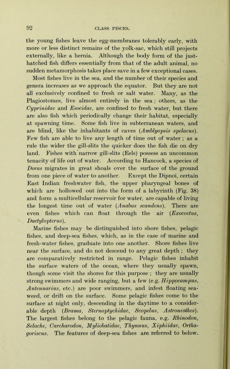 the young fishes leave the egg-membranes tolerably early, with more or less distinct remains of the yolk-sac, which still projects externally, like a hernia. Although the body form of the just- hatched fish differs essentially from that of the adult animal, no sudden metamorphosis takes place save in a few exceptional cases. Most fishes live in the sea, and the number of their species and genera increases as we approach the equator. But they are not all exclusively confined to fresh or salt water. Many, as the Plagiostomes, live almost entirely in the sea ; others, as the Cyprinidae and Esocidae, are confined to fresh water, but there are also fish which periodically change their habitat, especially at spawning time. Some fish live in subterranean waters, and are blind, like the inhabitants of caves {Amblyopsis spelaeus). Few fish are able to live any length of time out of water ; as a rule the wider the gill-slits the quicker does the fish die on dry land. Fishes with narrow gill-slits (Eels) possess an uncommon tenacity of life out of water. According to Hancock, a species of Doras migrates in great shoals over the surface of the ground from one piece of water to another. Except the Dipnoi, certain East Indian freshwater fish, the upper pharyngeal bones of which are hollowed out into the form of a labyrinth (Fig. 38) and form a multicellular reservoir for water, are capable of living the longest time out of water {Anabas scandens). There are even fishes which can float through the air [Exocoetus, Dactylopterus). Marine fishes may be distinguished into shore fishes, pelagic fishes, and deep-sea fishes, which, as in the case of marine and fresh-water fishes, graduate into one another. Shore fishes live near the surface, and do not descend to any great depth ; they are comparatively restricted in range. Pelagic fishes inhabit the surface waters of the ocean, where they usually spawn, though some visit the shores for this purpose ; they are usually strong swimmers and wide ranging, but a few (e.g. Hippocampus, Antennarius, etc.) are poor swimmers, and infest floating sea- weed, or drift on the surface. Some pelagic fishes come to the surface at night only, descending in the daytime to a consider- able depth {Brama, Sternoptychidae, Scopelus, Astronesthes). The largest fishes belong to the pelagic fauna, e.g. Rhinodon, Selache, Carcharodon, Myliobatidae, Thynnus, Xiphiidae, Oriha- goriscus. The features of deep-sea fishes are referred to below.