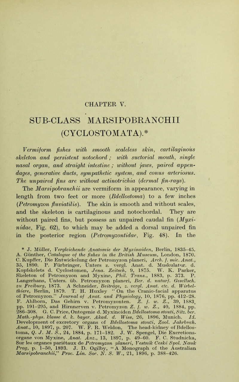 CHAPTER V. SUB-CLASS MARSIPOBRANCHII (CYCLOSTOMATA)A Vermiform fishes with smooth scaleless skin, cartilaginous skeleton and persistent notochord; with suctorial mouth, single nasal organ, and straight intestine; without jaws, paired appen- dages, generative ducts, sympathetic system, and conus arteriosus. The unpaired fins are without actinotrichia {dermal fin-rays). The Marsipobranchii are vermiform in appearance, varying in length from two feet or more {Bdellostoma) to a few inches {Petromyzon fluviatilis). The skin is smooth and without scales, and the skeleton is cartilaginous and notochordal. They are without paired fins, but possess an unpaired caudal fin (Myxi- nidae. Fig. 62), to which may be added a dorsal unpaired fin in the posterior region (Petromyzontidae, Fig. 48). In the * J. Muller, Verglcichende Anatomic der Myxinoiden, Berlin, 1835-4.'). A. Giinther, Catalogue of the fishes in the British Museum, London, 1870. C. Kupffer, Die Entwickelung der Petromyzon planeri. Arch. f. mic. Anat., 35, 1890. P. Fiirbringer, Unters z. vergl. Anat. d. Muskulatur. d. Kopfskelets d. Cyclostomen, Jena. Zeitsch, 9, 1875. W. K. Parker, Skeleton of Petromyzon and Myxine, Phil. Trans., 1883, p. 373. P. Langerhans, Enters, iib. Petromyzon planeri, Per. d. naturj. Gesellsch. zu Freiburg, 1873. A Schneider, Beitrdge, z. vergl. Anat. etc. d. Wirhel- thiere, Berlin, 1879. T. H. Huxley “ On the Cranio-facial apparatus of Petromyzon.” Joiirnal of Anat. and Physiology, 10, 1876, pp. 412-28. F. Ahlborn, Das Gehirn v. Petromyzonten. Z. f. w. Z., 39, 1883, pp. 191-295, and Hirnnerven v. Petromyzon Z. f. w. Z., 40, 1884, pp. 286-308. G. C. Price, Ontogenie d. Myxinoiden Bdellostoma stouti, Sitz. her. Math.-phys. Idasse d. k. hayer. Akad. d. Wiss, 26, 1896, Munich. Id. Development of excretory organs of Bdello,stoma stouti, Zool. Jahrbvch. Anat., 10, 1897, p. 207. W. F. R. Weldon, The head-kidney of Bdellos- toma, Q. J. M. S., 24, 1884, p. 171-182. J. W. Spengel, Die Excretions- organe von Myxine, Anat. Anz., 13, 1897, p. 49-60. F. C. Studnicka, Sur le.s organes parietaux de Petromyzon vlaneri, Vestnik Ceske Spol. Nauk Prag, p. 1-50, 1893. J. D. Ogilby, “A Monograph of the Australian Marsipobranchii,'' Proc. Lin. Soc. N. S. W., 21, 1896, p. 388-426.