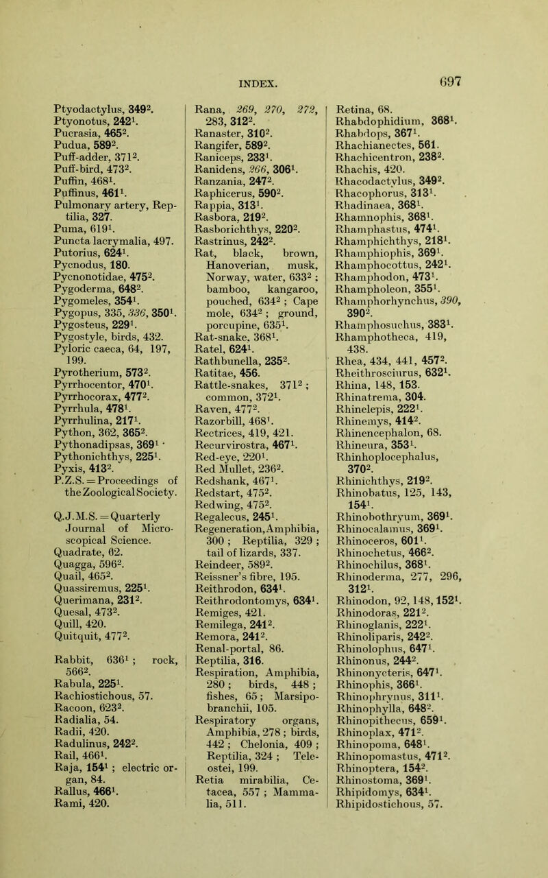 Ptyodactylus, 3402. Ptyonotus, 242^. Pucrasia, 465^. Pudua, 5802. PufJ-adder, 371^. Puff-bird, 4732. Puffin, 4681. Puffinus, 4611. Pulmonary artery, Rep- tilia, 327. Puma, 6I91. Puncta lacrymalia, 497. Putorius, 6241. Pycnodus, 180. Pycnonotidae, 475^. Pygoderma, 648^. Pygomeles, 354i. Pygopus, 335, 336, 350i. Pygosteus, 220i. Pygostyle, birds, 432. Pyloric caeca, 64, 197, 199. Pyrotherium, 573^. Pyrrhocentor, 4706 Pyrrhocorax, 477^. Pyrrhula, 478i. Pyrrhulina, 217i. Python, 362, 3656 Pythonadipsas, 3601 • Pythonichthys, 225'. Pyxis, 4136 P. Z.S. = Proceedings of the Zoological Society. Q. J.M.S. =Quarterly Journal of Micro- scopical Science. Quadrate, 62. Quagga, 5962. Quail, 4652. Quassiremus, 225i. Querimana, 2312. Quesal, 4732. Quill, 420. Quitquit, 4772. Rabbit, 636i ; rock, 5662. Rabula, 225i. Rachiostichous, 57. Racoon, 6232. Radialia, 54. Radii, 420. Radulinus, 2422. Rail, 4661. Raja, 1541 ; electric or- gan, 84. RaUus, 4661. Rami, 420. Rana, 369, 270, 272, 283, 3122. Ranaster, 3102. Rangifer, 5802. Raniceps, 233i. Ranidens, 266, 306i. Ranzania, 2472. Raphicerus, 5002. Rappia, 313'. Rasbora, 2102. Rasborichthys, 2202. Rastiinus, 2422. Rat, black, brown, Hanoverian, musk, Norway, water, 6332 ; bamboo, kangaroo, pouched, 6342 ; Cape mole, 6342 ; ground, porcupine, 635'. Rat-snake. 368'. Ratel, 624'. Rathbunella, 2352. Ratitae, 456. Rattle-snakes, 3712; common, 372'. Raven, 4772. Razorbill, 468'. Rectrices, 419, 421. Recurvirostra, 467'. Red-eye, 220'. Red Mullet, 2362. Redshank, 467'. Redstart, 4752. Redwing, 4752. Regalecus, 245'. Regeneration,.4mphibia, 300 ; Reptilia, 329 ; tail of lizards, 337. Reindeer, 5892. Reissner’s fibre, 195. Reithrodon, 634'. Reithrodontomys, 634'. Remiges, 421. Remilega, 2412. Remora, 2412. Renal-portal, 86. Reptilia, 316. Respiration, Amphibia, 280; birds, 448 ; fishes, 65; Marsipo- branchii, 105. Respiratory organs, Amphibia, 278; birds, 442 ; Chelonia, 409 ; Reptilia, 324 ; Tele- ostei, 199. Retia mirabilia. Ce- tacea, 557 ; Mamma- lia, 511. Retina, 68. Rhabdophidium, 368'. Rhabdops, 367'. Rhachianectes, 561. Rhachicentron, 2382. Rhachis, 420. Rhacodactylus, 3402. Rhacophorus, 313'. Rhadinaea, 368'. Rhamnophis, 368'. Rhamphastus, 474'. Rhamphichthys, 218'. Rhamphiophis, 360'. Rhamphocottus, 242'. Rhamphodon, 473'. Rhampholeon, 355'. Rhamphorhynchus, 390, 3002. Rhamphosuchus, 383'. Rhamphotheca, 419, 438. Rhea, 434, 441, 4572. Rheithrosciurus, 632'. Rhina, 148, 153. Rhinatrema, 304. Rhinelepis, 222'. Rhinemys, 4142. Rhinencephalon, 68. Rhineura, 353'. Rhinho plocephalus, 3702. Rhinichthys, 2102. Rhinobatus, 125, 143, 154'. Rhinobothryum, 360'. Rhinocalamus, 360'. Rhinoeeros, 601'. Rhinochetus, 4662. Rhinochilus, 368'. Rhinoderma, 277, 296, 312'. Rhinodon, 92,148,152'. Rhinodoras, 2212. Rhinoglanis, 222'. Rhinoliparis, 2422. Rhinolophus, 647'. Rhinonus, 2442. Rhinonycteris, 647'. Rhinophis, 366'. Rhinophrynus, 311'. Rhinophylla, 6482. Rhinopithecus, 650'. Rhinoplax, 4712. Rhinopoma, 648'. Rhinopomastus, 4712. Rhinoptera, 1542. Rhinostoma, 360'. Rhipidomys, 634'. Rhipidostichous, 57.