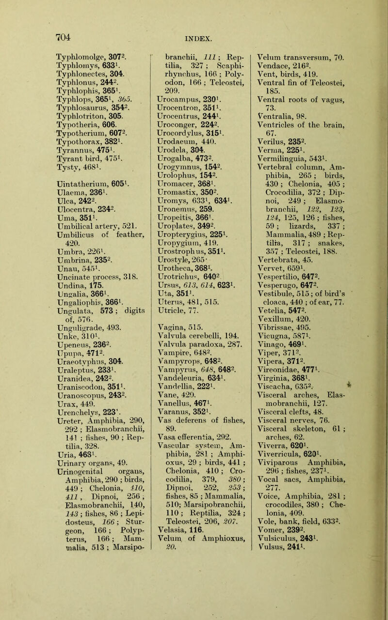 Typhlomolge, 3072. Typhlomys, 633^. Typhlonectes, 304. Typhlonus, 2442. Typhlophis, 365'. Typhlops, 365', 365. Typhlosaurus, 3542. Typhlotriton, 305. Typotheria, 606. Typotherium, 60?2. Typothorax, 382'. Tyrannus, 475'. Tyrant bird, 475'. Tysty, 468'. Uintatherium, 605'. Ulaema, 236'. Ulca, 2422. Ulocentra, 2342. Uma, 351'. Umbilical artery, 521. Umbilicus of feather, 420. Umbra, 226'. Umbrina, 2352. Unau, 545'. Uncinate process, 318. Undina, 175. Unsalia, 366'. Ungaliophis, 366'. Ungulata, 573; digits of, 576. Unguligrade, 493. Unke, 310'. Upeneus, 2362. Upnpa, 4712. Uraeotyphus, 304. Uraleptus, 233'. Uranidea, 2422. Uranisoodon, 351'. Uranoscopus, 2432. Urax, 440. Urenchelys, 223'. Ureter, Amphibia, 290, 292 ; Elasmobranchii, 14! ; fishes, 90 ; Rep- tilia, 328. Uria, 468'. Urinary organs, 49. Urinogenital organs. Amphibia, 290 ; birds, 449 ; Chelonia, ilO, 411 , Dipnoi, 256; Elasmobranchii, 140, 143 ; fishes, 86 ; Lepi- dosteus, 166; Stur- geon, 166; Polyp- terns, 166 ; Mam- malia, 513 ; Marsipo- branchii. 111 ; Rep- tilia, 327 ; Scaphi- rhynchus, 166 ; Poly- odon, 166 ; Teleostei, 209. Urocampus, 230'. Urocentron, 351'. Urocentnis, 244'. Uroconger, 2242. Urocordylus, 315'. Urodaeum, 440. Urodela, 304. Urogalba, 4732. Urogymnus, 1542. Urolophus, 1542. Uromacer, 368'. Uromastix, 3502. Uromys, 633', 634'. Uronemns, 259. Uropeltis, 366'. Uroplates, 3492. Uropterygius, 225'. Uropygium, 419. Urostrophus, 351'. Urostyle, 265 ■ Urotheca, 368'. Urotrichus, 64Q2 Ursus, 613, 614, 623'. Uta, 351'. Uterus, 481, 515. Utricle, 77. Vagina, 515. Valvula cerebelli, 194. Valvula paradoxa, 287. Vampire, 6482. Vampyrops, 6482. Vampyrus, 648, 6482. Vandeleuria, 634'. Vandellia, 222'. Vane, 429. Vanellus, 467'. Varanus, 352'. Vas deferens of fishes, 89. Va.sa efferentia, 292. Vascular system. Am- phibia, 281 ; Amphi- oxus, 29 ; birds, 441 ; Chelonia, 410; Cro- codilia, 379, 380; Dipnoi, 252, 253; fishes, 85 ; Mammalia, 510; Marsipobranchii, 110; Reptilia, 324; Teleo.stei, 206, 207. Velasia, 116. Velum of Amphioxus, 20. Velum transversum, 70. Vendace, 2162. Vent, birds, 419. Ventral fin of Teleostei, 185. Ventral roots of vagus, 7.3. Ventralia, 98. Ventricles of the brain, 67. Verilus, 2352. Verma, 225'. Vermilinguia, 543'. Vertebral column. Am- phibia, 265 ; birds, 430 ; Chelonia, 405 ; Crocodilia, 372 ; Dip- noi, 249; Elasmo- branchii, 122, 123, 124, 125, 126; fishes, 59; lizards, 337 ; Mammalia, 489 ; Rep- tilia, 317 ; snakes, 357 ; Teleostei, 188. Vertebrata, 45. Vervet, 659'. Vespertilio, 6472. Vesperugo, 6472. Vestibule, 515; of bird’s cloaca, 440 ; of ear, 77. Vetelia, 5472. Vexillum, 420. Vibrissae, 495. Vicugna, 587'. Vmago, 469'. Viper, 3712. Vipera, 3712. Vireonidae, 477'. Virginia, 368'. Viscacha, 0352.- * Visceral arches, Elas- mobranchii, 127. Visceral clefts, 48. Visceral nerves, 76. Visceral skeleton, 61 ; arches, 62. Viverra, 620'. Viverricula, 620'. Viviparous Amphibia, 296 ; fishes, 237'. Vocal sacs. Amphibia, 277. Voice, Amphibia, 281 ; crocodiles, 380 ; Che- lonia, 409. Vole, bank, field, 6332. Vomer, 2392. Vulsiculus, 243'. Vulsus, 241'.