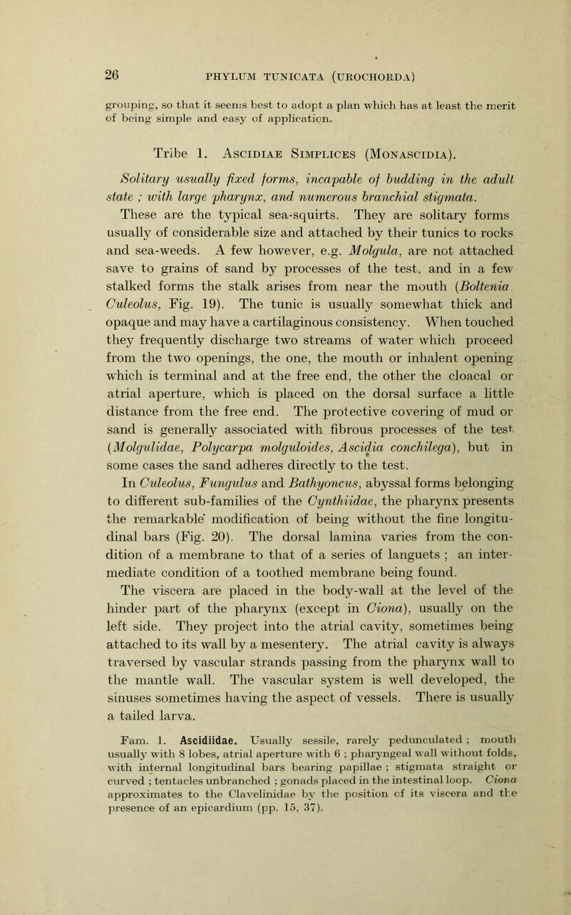 grouping, so that it seems Vjest to adopt a plan which has at least the merit of being simple and easy of application. Tribe 1. Ascidiae Simplices (Monascidia). Solitary usually fixed forms, incapable of budding in the adult state ; with large pharynx, and numerous branchial stigmata. These are the typical sea-squirts. They are solitary forms usually of considerable size and attached by their tunics to rocks and sea-weeds. A few however, e.g. Molgula, are not attached save to grains of sand by processes of the test, and in a few stalked forms the stalk arises from near the mouth {Boltenia Culeolus, Fig. 19). The tunic is usually somewhat thick and opaque and may have a cartilaginous consistency. When touched they frequently discharge two streams of water which proceed from the two openings, the one, the mouth or inhalent opening which is terminal and at the free end, the other the cloacal or atrial aperture, which is placed on the dorsal surface a little distance from the free end. The protective covering of mud or sand is generally associated with fibrous processes of the test {Molgulidae, Polycarpa molguloides, Ascidia conchilega), but in some cases the sand adheres directly to the test. In Culeolus, Fungulus and Bathyoncus, abyssal forms belonging to different sub-families of the Cynthiidae, the pharynx presents the remarkable modification of being without the fine longitu- dinal bars (Fig. 20). The dorsal lamina varies from the con- dition of a membrane to that of a series of languets ; an inter- mediate condition of a toothed membrane being found. The viscera are placed in the body-wall at the level of the hinder part of the pharynx (except in dona), usually on the left side. They project into the atrial cavity, sometimes being attached to its wall by a mesentery. The atrial cavity is always traversed by vascular strands passing from the pharynx wall to the mantle wall. The vascular system is well developed, the sinuses sometimes having the aspect of vessels. There is usually a tailed larva. Fam. 1. Ascidiidae. Usually sessile, rarely pedunculated; mouth usually with 8 lobes, atrial aperture with C ; pharyngeal wall without folds, with internal longitudinal bars bearing papillae ; stigmata straight or curved ; tentacles unbranched : gonads placed in the intestinal loop. Ciona approximates to the Clavelinidae by the position of its viscera and the presence of an epicardium (pp. 15, 37).