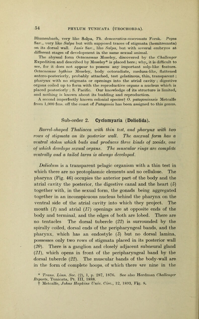 Blumenbach, very like Salpa, Th. democratica-mucronata Forsk. Pegea Sav., very like Salpa but with supposed traces of stigmata (hemitremata) on its dorsal wall. lasis Sav., like Salpa, but with several embryos at different stages of development in the same sexual animal. The abyssal form Octacnemus Moseley, discovered by the Challenger Expedition and described by Moseley* is placed here; why, it is difficult to see, for it does not appear to possess any important salp-like feature. Octacnemus hythius Moseley, body octoradiate, medusa-like, flattened antoro-posteriorly, probably attached, test gelatinous, thin, transparent ; pharynx with no stigmata or openings into the atrial cavity ; digestive organs coiled up to form with the reproductive organs a nucleus which is placed posteriorly ; S. Pacific. Our knowledge of its structure is limited, and nothing is known about its budding and reproduction. A second imperfectly known colonial speciesf O. patagoniensis Metcalfe from 1,000 fms. off the coast of Patagonia has been assigned to this genus. Sub-order 2. Cyclomyaria (Doliolida). Barrel-shaped Thaliacea with thin test, and pharynx with two rows of stigmata on its posterior wall. The asexual form has a ventral stolon which buds and produces three hinds of zooids, one of which develops sexual organs. The muscular rings are complete ventrally and a tailed larva is always developed. Doliolum is a transparent pelagic organism with a thin test in which there are no protoplasmic elements and no cellulose. The pharynx (Fig. 46) occupies the anterior part of the body and the atrial cavity the posterior, the digestive canal and the heart (5) together with, in the sexual form, the gonads being aggregated together in an inconspicuous nucleus behind the pharynx on the ventral side of the atrial cavity into which they project. The mouth (1) and atrial (J7) openings are at opposite ends of the body and terminal, and the edges of both are lobed. There are no tentacles The dorsal tubercle (22) is surrounded by the spirally coiled, dorsal ends of the peripharyngeal bands, and the pharynx, which has an endostyle (3) but no dorsal lamina, possesses only two rows of stigmata placed in its posterior wall (20) . There is a ganglion and closely adjacent subneural gland (21) , which opens in front of the peripharyngeal band by the dorsal tubercle (22). The muscular bands of the body-wall are in the form of complete hoops, of which there are nine in the * Trans. Linn. Soc. (2), 1, p. 287, 1876. See also Herdman Challenger Reports, Tunicata, Pt. Ill, 1888. t Metcalfe, Johns Hopkins Univ. Circ., 12, 1803, Fig. 8.