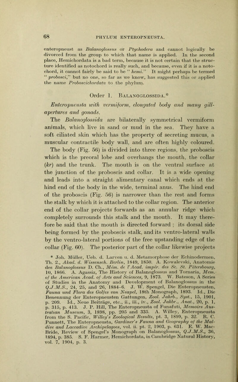 enteropneust as Balanoglossus or Ptychodera and cannot logically be divorced from the group to which that name is applied. In the second place, Hemichordata is a bad term, because it is not certain that the struc- ture identified as notochord is really such, and because, even if it is a noto- chord, it cannot fairly be said to be “ hemi.” It might perhaps be termed “ prohosci,'’’ but no one, so far as we know, has suggested this or applied the name Proboscichordata to the phylum. Order 1. BALANoaLOSSiDA.* Enteropneusta with vermiform, elongated body and many gill- apertures and gonads. The Balanoglossida are bilaterally symmetrical vermiform animals, which live in sand or mud in the sea. They have a soft ciliated skin which has the property of secreting mucus, a muscular contractile body wall, and are often highly coloured. The body (Fig. 56) is divided into three regions, the proboscis which is the preoral lobe and overhangs the mouth, the collar (kr) and the trunk. The mouth is on the ventral surface at the junction of the proboscis and collar. It is a vude opening and leads into a straight alimentary canal which ends at the hind end of the body in the wide, terminal anus. The hind end of the proboscis (Fig. 56) is narrower than the rest and forms the stalk by which it is attached to the collar region. The anterior end of the collar projects forwards as an annular ridge which completely surrounds this stalk and the mouth. It may there- fore be said that the mouth is directed forward ; its dorsal side being formed by the proboscis stalk, and its ventro-lateral walls by the ventro-lateral portions of the free upstanding edge of the collar (Fig. 60). The posterior part of the collar likewise projects * Job. Miiller, Ueb. d. Larven u. d. Metamorphose der Ecliinodermen, Th. 2., Akad. d. Wissensch. Berlin, 1849, 1850. A. Kowalevski, Anatomie des Balanoglossus D. Ch., Mem. de VAcad, imper. des Sc. St. Petershourg, 10, 1866. A. Agassiz, The History of Balanoglossus and Tornaria, Mem. of the American Acad, of Arts and Sciences, 9, 1873. W. Bateson, A Series of Studies in the Anatomy and Development of Balanoglossus in the Q.J.M.S., 24, 26, and 26, 1884—6. J. W. Spengel, Die Enteropneusten, Fauna und Flora des Golfes von Neapel, 18th Monograph, 1893. Id., Die Benennimg der Enteropneusten Gattimgen, Zool. Jahrh., Syst., 16, 1901, p. 209. Id., Neue Beitrage, etc., ii., iii., iv., Zool. Jahbr., Anat., 20, p. 1, p. 315, p. 413. J. P. Hill, The Enteropneusta of Funafuti, Memoirs Aus- tralian Museum, 3, 1898, pp. 205 and 335. A. Willey, Enteropneusta from the S. Pacific, Willey's Zoological Results, pt. 3, 1899, p. 32. R. C. Punnett, The Enteropneusta, Gardiner's Fauna and Geography of the Mal- dive and Laccadive Archipelagoes, vol. ii. pt. 2, 1903, p. 631. E. W. Mac- Bride, Review of Spengel’s Monograph on Balanoglossus, Q.J.M.S., 36, 1894, p. 385. S. F. Harmer, Hemichordata, in Cambridge Natural History, vol. 7, 1904, p. 3.