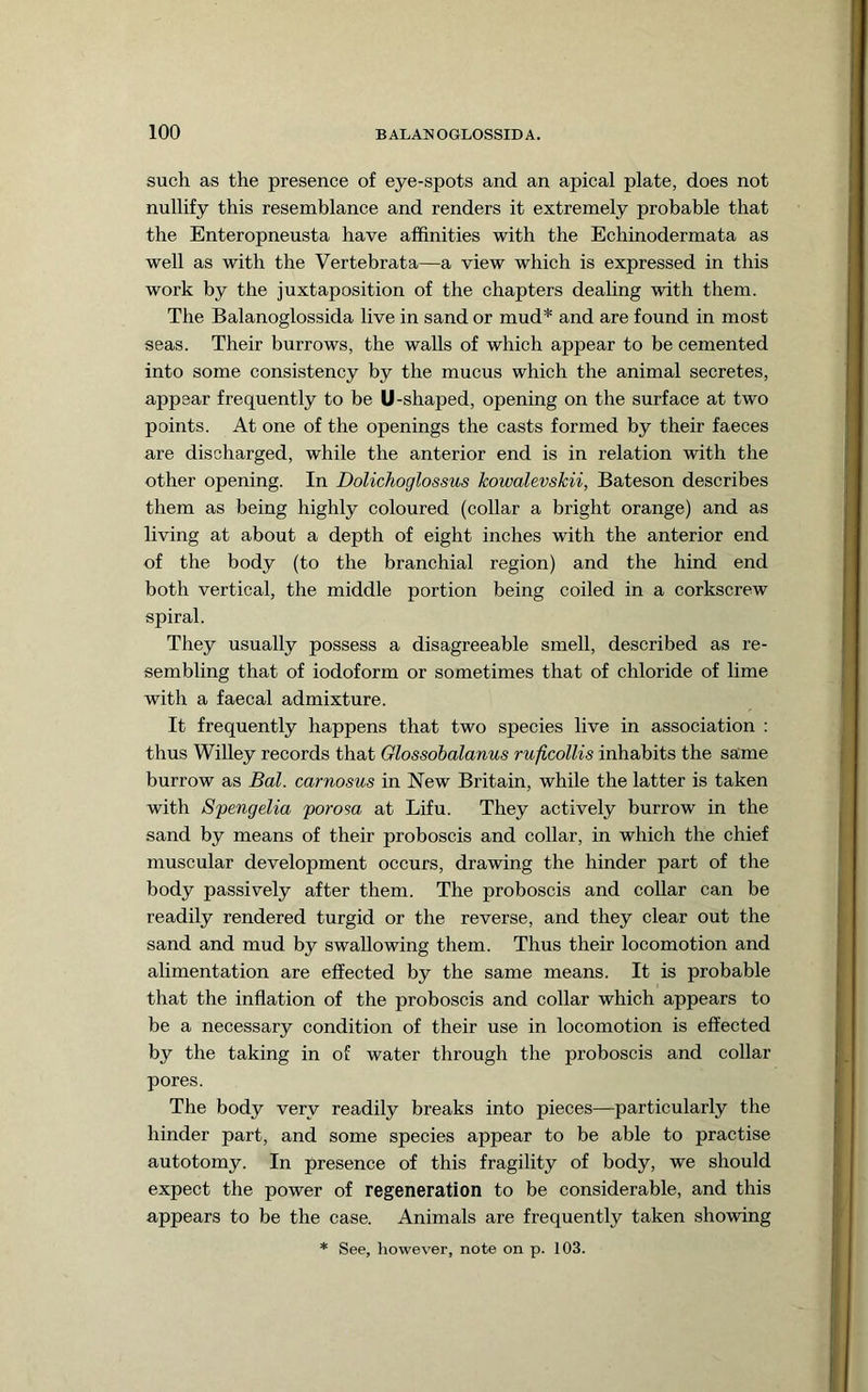 such as the presence of eye-spots and an apical plate, does not nullify this resemblance and renders it extremely probable that the Enteropneusta have affinities with the Echinodermata as well as with the Vertebrata—a view which is expressed in this work by the juxtaposition of the chapters dealing with them. The Balanoglossida live in sand or mud* and are found in most seas. Their burrows, the walls of which appear to be cemented into some consistency by the mucus which the animal secretes, appear frequently to be U-shaped, opening on the surface at two points. At one of the openings the casts formed by their faeces are discharged, while the anterior end is in relation with the other opening. In DoUchoglossus kowalevskii, Bateson describes them as being highly coloured (collar a bright orange) and as living at about a depth of eight inches with the anterior end of the body (to the branchial region) and the hind end both vertical, the middle portion being coiled in a corkscrew spiral. They usually possess a disagreeable smell, described as re- sembling that of iodoform or sometimes that of chloride of lime with a faecal admixture. It frequently happens that two species live in association : thus Willey records that Glossobalanus ruficollis inhabits the same burrow as Bal. carnosus in New Britain, while the latter is taken with Spengelia porosa at Lifu. They actively burrow in the sand by means of their proboscis and collar, in which the chief muscular development occurs, drawing the hinder part of the body passively after them. The proboscis and collar can be readily rendered turgid or the reverse, and they clear out the sand and mud by swallowing them. Thus their locomotion and alimentation are effected by the same means. It is probable that the inflation of the proboscis and collar which appears to be a necessary condition of their use in locomotion is effected by the taking in of water through the proboscis and collar pores. The body very readily breaks into pieces—particularly the hinder part, and some species appear to be able to practise autotomy. In presence of this fragility of body, we should expect the power of regeneration to be considerable, and this appears to be the case. Animals are frequently taken showing * See, however, note on p. 103.