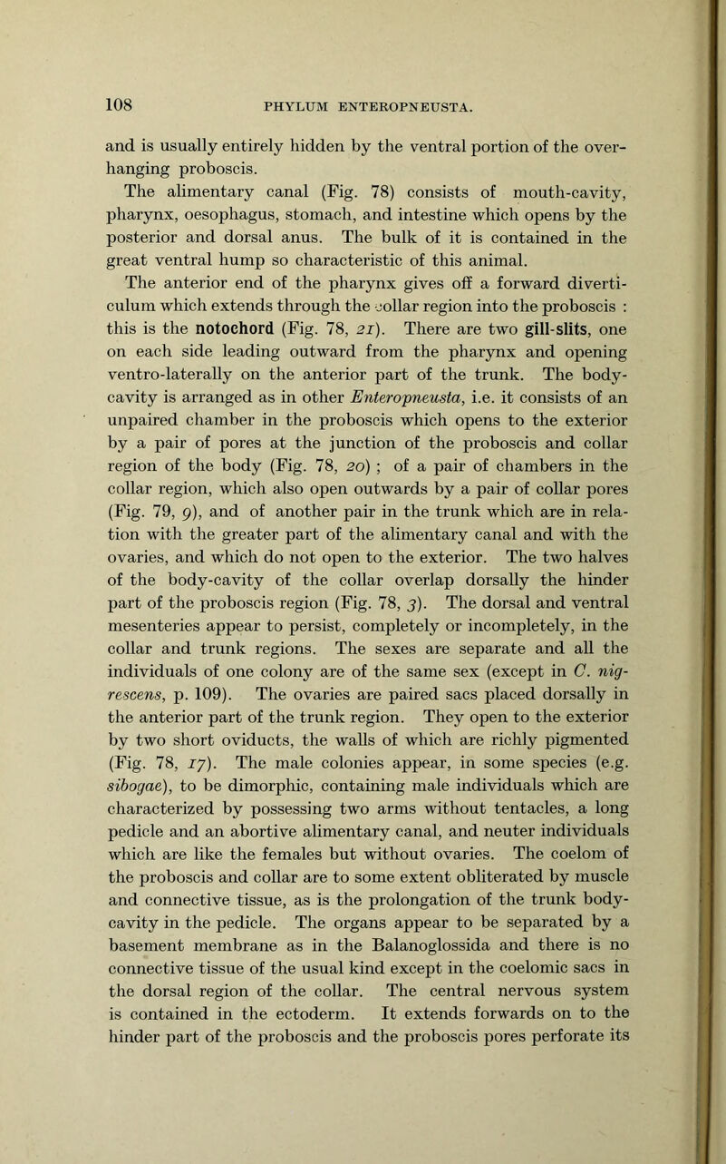 and is usually entirely hidden by the ventral portion of the over- hanging proboscis. The alimentary canal (Fig. 78) consists of mouth-cavity, pharynx, oesophagus, stomach, and intestine which opens by the posterior and dorsal anus. The bulk of it is contained in the great ventral hump so characteristic of this animal. The anterior end of the pharynx gives off a forward diverti- culum which extends through the collar region into the proboscis : this is the notochord (Fig. 78, 2i). There are two gill-slits, one on each side leading outward from the pharynx and opening ventro-laterally on the anterior part of the trunk. The body- cavity is arranged as in other Enteropneusta, i.e. it consists of an unpaired chamber in the proboscis which opens to the exterior by a pair of pores at the junction of the proboscis and collar region of the body (Fig. 78, 2o) ; of a pair of chambers in the collar region, which also open outwards by a pair of collar pores (Fig. 79, 9), and of another pair in the trunk which are in rela- tion with the greater part of the alimentary canal and with the ovaries, and which do not open to the exterior. The two halves of the body-cavity of the collar overlap dorsally the hinder part of the proboscis region (Fig. 78, j). The dorsal and ventral mesenteries appear to persist, completely or incompletely, in the collar and trunk regions. The sexes are separate and all the individuals of one colony are of the same sex (except in C. nig- rescens, p. 109). The ovaries are paired sacs placed dorsally in the anterior part of the trunk region. They open to the exterior by two short oviducts, the walls of which are richly pigmented (Fig. 78, jy). The male colonies appear, in some species (e.g. sibogae), to be dimorphic, containing male individuals which are characterized by possessing two arms without tentacles, a long pedicle and an abortive alimentary canal, and neuter individuals which are like the females but without ovaries. The coelom of the proboscis and collar are to some extent obliterated by muscle and connective tissue, as is the prolongation of the trunk body- cavity in the pedicle. The organs appear to be separated by a basement membrane as in the Balanoglossida and there is no connective tissue of the usual kind except in the coelomic sacs in the dorsal region of the collar. The central nervous system is contained in the ectoderm. It extends forwards on to the hinder part of the proboscis and the proboscis pores perforate its