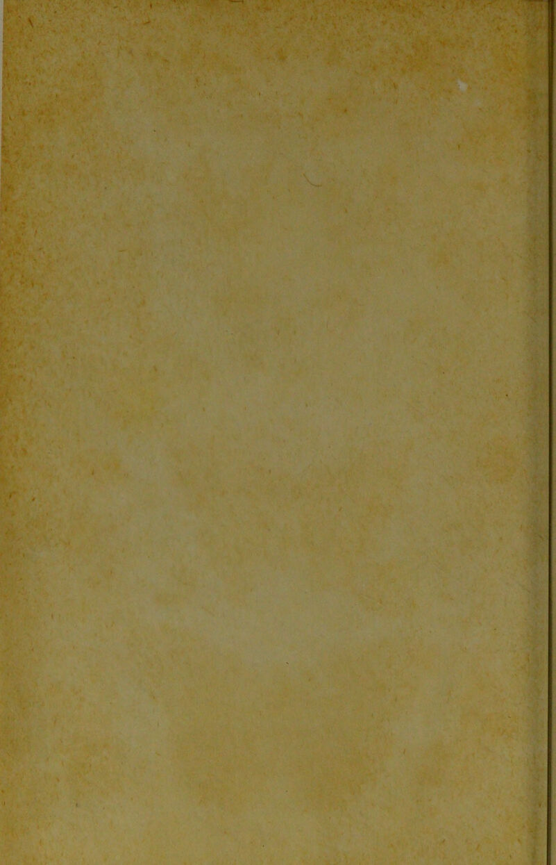 ^ <:%■ : . ■ ■ '■•' y .\, • _ . ' .»