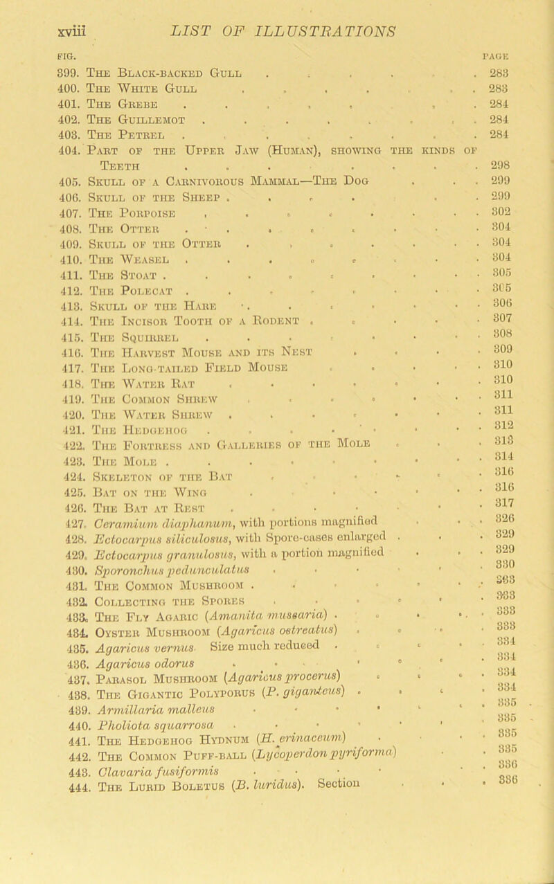 BIG. 399. The Black-backed Gull 400. The White Gull ..... . . 401. The Gbebe ..... , . 402. The Guillemot . . . . . . . . 403. The Petkel . . ...... 404. Pabt of the Uppeb Jaw (Human), showing the kinds of Teeth ... . . . . 405. Skull of a C.uinh'obous Mamm.vl—The Dog 40(5. Skull of the Sheep .... . . 407. The Pobpoise . . . . • • • • 408. The Otteu . ■ . . . 409. SivUiiL OF the Otteb . ...... 410. The Weasel 411. The Stoat . . 412. The Polecat . . . . . . . . 413. Skull of the Habe •. . . ■ • ■ ' 414. The Incisob Tooth of a Rodent . . • • • 415. The Squibbel . . . • • • 41(5. The Habvest Mouse and its Nest , . ■ ■ 417. The Long tailed Field Mouse . . • • 418. Tire Wateb Rat ....•• 419. The Common Shbew 420. The Wateb Shbew ...>•• 421. Tire Hedgehog . . • ' • 422. Tire PoHTBESB and Gallebies of the Mole 423. The Mole ....•••• 424. Skeleton of the B.vt . • 425. B.vt on the Wing . ■ • ■ • 420. The Bat at Rest ...••■ 127. Ceramium (liajihanum, with portions inagnifiofl 428. Mctociirpus silicidosus, with Sporc-cases enlarged . 429. Fctocarpiis (jranulosus, witli a portion magnified . • 430. Sporonchiin pcdnnctilatim . . . ■ • 431. The Common Mushboom . . • • • • 432. Collecting the Spobes , . . . • 433. The Fly Agabic {Amanita mussaria) . 434. Oysteb Mushboom {Agariems oetreatus) 436. Agaricus vernus Size much reduced . . . • 436. Agaricus odorus - • - ' ” , ’ 437. P.ABASOL Mushboom [Agaricus procerus) 438. The Gigantic Polvpobus [P. giganiciis) • . i 439. Armillaria malleus . . • • ' 440. Pholiota squarrosa ..•••' 441. The Hedgehog Hydnum (H.erinaceum) 442. The Common Puff-b.vll {Lycoperdon pyriforma) 443. Glavaria fusiformis . • • • 444. The Lueid Boletus (B. luridus). Section page 283 283 284 284 284 298 299 299 302 304 304 304 305 305 300 307 308 309 310 310 . 811 311 812 . 813 . 314 . 810 . 316 . 317 . 326 . 329 . 329 . 330 . S6S . 333 . 333 . 333 . 334 . 334 . 834 . 834 . 336 , 335 . 835 . 335 . 830 . 880