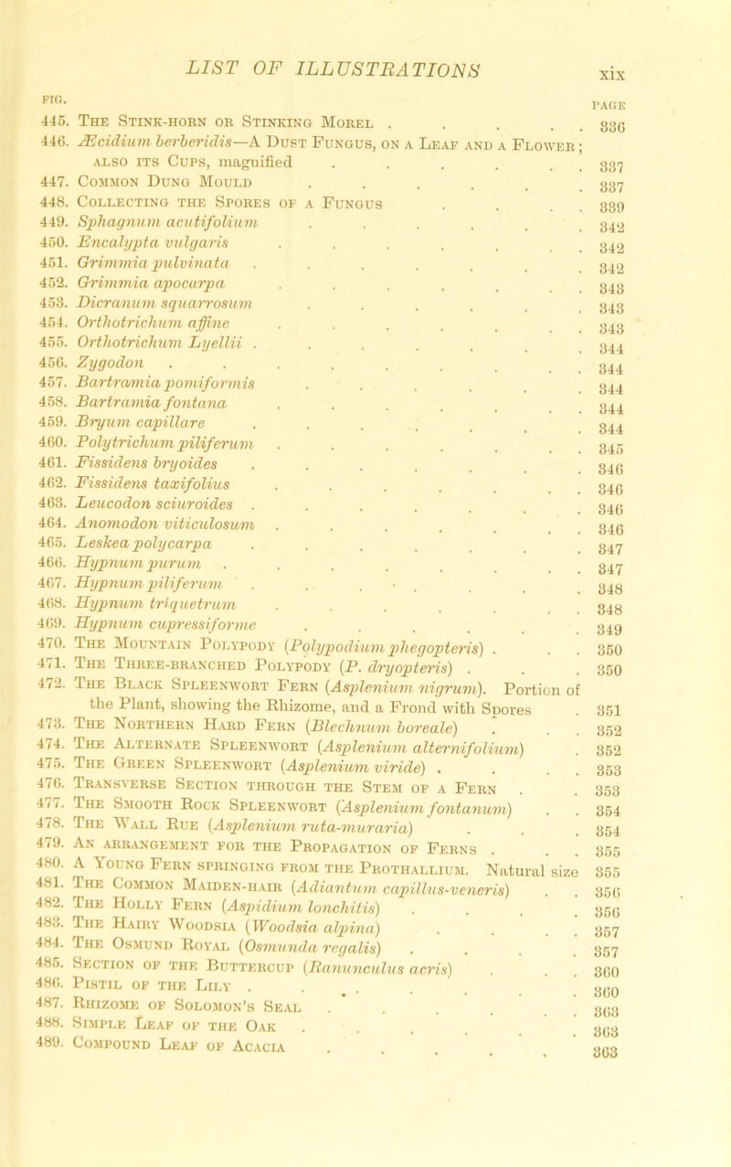 XIX pro. 445. 446. 447. 448. 449. 450. 451. 452. 453. 454. 455. 456. 457. 458. 459. 460. 461. 462. 463. 464. 465. 466. 467. 4(i8. 469. 470. 471. 472. 473. 474. 475. 476. 477. 478. 479. 480. 481. 482. 483. 484. 485. 486. 487. 488. 489. The Stink-hoen oe Stinking Moeel . Mcidiiun berheridis—A. Dust Fungus, on a Leaf and a Flowee ; ALSO ITS Cups, magnified Common Dung BIould Collecting the Spoees of a Fungus Sphagnum acutifolium Encalypfa vulgaris Grimmia pulvinata Gi-immia apocurpa Dicranum squaiYosmn Orthotrichum affine Ortliotricliuin LyelKi . Zygodon Bartrannia pomiformis Bartramia fontana Bryum capillare Polytrichum piliferum Fissidens hryoides Fissidens taxifolius Leucodon sciiiroides . Anomodon viticulosum Leskea polycarpa Hypnuni puruni Hypnum piliferum Hypnum triquetrum Hypnum cupressiforme The BIountain Polypody (Polypodiumphegopteris) The Theee-beanched Poly'pody' (P. dryopteris) The Black Spleenwoet Feen (Asplenium nigrum). Portion of the Plant, showing the Bhizome, and a Frond with Spores The Noetheen H^ard Fern (Blechnum horeale) The Alternate Spleenwoet (Asplenium alternifolium) The Green Spleenwoet (Asplenium viride) . Transverse Section through the Stem op a Feen The Smooth Bock Spleenwoet (^Asplenium fontanum) The Wall Bue (Asplenium ruta-muraria) An arrangement for the Propagation op Ferns . A Young Fern springing from the Prothallium. Natural The Common BIalden-hair (Adiuntum capillus-veneris) The Holly Fern (Asqndium lonchitis) The HAHiY BVoodsia (Woodsia alpina) The Osmund Boyal (Osmunda regalis) Section of the Buttercup (lianunculus acris) Pistil of the Lily ..... Bhizome of Solomon’s Seal Simple Leaf of the Oak Compound Leai' of Acacia size P.AGE 836 387 337 339 342 342 342 343 343 343 344 344 344 344 344 345 846 346 846 346 847 347 348 348 349 850 350 351 352 352 353 353 354 354 855 355 356 356 357 357 860 360 363 863 803